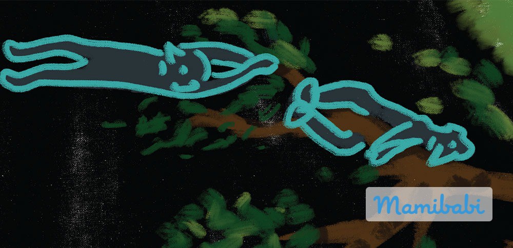 Truyện Ehon - Truyện tranh thai giáo: Thế giới của Tig