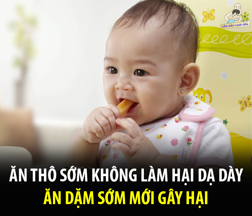 Có nhiều bố mẹ cho con ăn dặm sớm từ 4-5 tháng trở đi, đây là điều không cần thiết và thậm chí còn gây hại cho trẻ.

Các chuyên gia y tế và chuyên gia sữa mẹ thống nhất rằng, bố mẹ nên chờ đến khi trẻ được khoảng 6 tháng tuổi rồi hãy cho ăn dặm. Hiện đã có một số lượng lớn các nghiên cứu về vấn đề này, và hầu hết tất cả các tổ chức y tế đều đã cập nhật những khuyến cáo của mình để thống nhất với các nghiên cứu mới hiện nay.

Những tổ chức sau đây khuyến cáo rằng tất cả trẻ nên được bú mẹ hoàn toàn trong 6 tháng đầu đời (không ngũ cốc – như người Việt thì là cháo, không nước trái cây hay bất kì loại thực phẩm nào, ngay cả nước lọc cũng không cần thiết):

Hầu hết các bé đều sẽ sẵn sàng cả về thể chất lẫn sinh lý để bắt đầu việc ăn dặm trong khoảng thời gian 6-9 tháng tuổi. Đối với một số bé thì trì hoãn lâu hơn 6 tháng có thể là một điều tốt; điển hình là một số bác sĩ sẽ khuyên bắt đầu cho con ăn dặm sau 12 tháng nếu gia đình có tiền sử bị dị ứng thực phẩm (trường hợp này không phổ biến).

NHỮNG LÝ DO KHÔNG NÊN CHO BÉ ĂN DẶM SỚM

Mặc dù một số những lý do dưới đây được nghiên cứu cho những bé được bú mẹ hoặc bú mẹ hoàn toàn, nhưng các chuyên gia khuyên rằng trẻ uống sữa công thức cũng không nên cho con ăn dặm sớm.

1. Bảo vệ bé khỏi bệnh tật

Mặc dù trẻ sẽ vẫn tiếp tục nhận được nhiều chất miễn dịch từ sữa mẹ nếu cứ tiếp tục bú, nhưng lúc nhận được nhiều miễn dịch nhất là lúc bé được bú mẹ hoàn toàn. Sữa mẹ chứa hơn 50 yếu tố miễn dịch được biết đến và có lẽ còn rất nhiều nữa mà khoa học vẫn chưa rõ.

Một nghiên cứu đã chỉ ra rằng trẻ được bú mẹ hoàn toàn trong hơn 4 tháng đầu đời ít có nguy cơ bị viêm tai hơn trẻ được bú mẹ và bổ sung ăn dặm sớm, đến 40%. Khả năng bị bệnh đường hô hấp xảy ra ở bất kì thời điểm nào trong thời thơ ấu sẽ được giảm đáng kể nếu trẻ được bú mẹ hoàn toàn trong ít nhất 15 tuần đầu và không có thức ăn nào được giới thiệu trong thời gian đó (Wilson, 1998).

Rất nhiều nghiên cứu khác đã tìm được liên kết giữa việc cho con bú hoàn toàn và nhiều lợi ích sức khoẻ.

2. Cho thêm thời gian để hệ thống tiêu hoá của trẻ được trưởng thành

Nếu cho trẻ ăn dặm trước khi hệ thống cơ thể của trẻ sẵn sàng để hoạt động thì trẻ sẽ bị khó tiêu và sẽ gây ra những phản ứng khó chịu (rối loạn tiêu hoá, bụng đầy hơi, táo bón…).

Protein tiêu hoá của trẻ nhỏ chưa được hoàn chỉnh. Acid dạ dày và pepsin được tiết ra khi sinh và sẽ tăng dần trong 3, 4 tháng đầu để đạt đến tiêu chuẩn như của một người lớn. Các men tuỵ enzyme đến khoảng 6 tháng mới đạt được mức độ phù hợp để tiêu hoá tinh bột.

Các enzyme carbohydrate như maltase, isomaltase, và sucrase đến khoảng 7 tháng mới đạt mức độ trưởng thành. Trẻ còn quá bé có lipase và muối mật chỉ ở mức độ thấp, vì vậy đến 6-9 tháng tuổi mới tiêu hoá được chất béo.

3. Bảo vệ trẻ khỏi bị thiếu máu – thiếu sắt

Việc cho bé bổ sung sắt từ thuốc bổ hoặc thực phẩm trong 6 tháng đầu đời giảm khả năng hấp thụ sắt của bé. Trẻ sinh đủ tháng, khoẻ mạnh, và được bú mẹ hoàn toàn trong cả 6 – 9 tháng đầu đời vẫn duy trì được hemoglobin và sắt dự trữ một cách bình thường.

Trong một nghiên cứu (Pisacane, 1995), các nhà nghiên cứu kết luận rằng trẻ được bú mẹ hoàn toàn trong 7 tháng (và không được bổ sung sắt từ bên ngoài) thì lúc một tuổi có độ hemoglobin cao hơn đáng kể so với trẻ bú sữa mẹ mà được ăn dặm trước 7 tháng.

Các nhà nghiên cứu không tìm thấy trường hợp thiếu máu nào trong năm đầu của trẻ được bú hoàn toàn trong 7 tháng, và đã kết luận rằng cho trẻ bú hoàn toàn trong 7 tháng đầu sẽ giảm nguy cơ thiếu máu.

4. Giúp trẻ chống bệnh béo phì trong tương lai

Cho trẻ ăn dặm sớm sẽ tạo nguy cơ tăng lượng mỡ trong cơ thể và cả cân nặng. Bệnh béo phì có thể gây huyết áp cao, bệnh tim mạch, tiểu đường, ung thư, bệnh đường hô hấp và nhiều bệnh khác nữa.

5. Giúp mẹ duy trì lượng sữa cho con bú

Nhiều nghiên cứu cho thấy, khi ăn dặm, thức ăn sẽ thay thế sữa chứ không cộng thêm vào lượng sữa trẻ đang uống. Trẻ càng ăn nhiều thức ăn thì sẽ càng bú ít sữa, và càng bú ít thì mẹ sẽ càng ít sữa đi. Trẻ ăn nhiều thức ăn hoặc ăn sớm sẽ có xu hướng cai sữa sớm.

6. Những lý do khác

Trẻ trong 4 tháng đầu đời có phản xạ đẩy lưỡi ra khi có vật nào chạm vào miệng để tránh nguy cơ bị hóc. Khi cho trẻ ăn dặm quá sớm, trẻ sẽ chỉ nhè thức ăn ra. Từ 4-6 tháng phản xạ này sẽ mất dần đi để giúp trẻ nuốt thức ăn.

Trẻ cần biết ngồi độc lập hoặc ngồi với rất ít hỗ trợ mới nên ăn dặm. Khi cho trẻ ăn trong tư thế nằm (như lúc bú), chúng sẽ dễ hiểu nhầm với lúc ngủ hoặc mệt mỏi và sẽ không hứng thú. Hơn nữa, ngồi thẳng khi ăn sẽ giảm nguy cơ bị hóc.

Trẻ trước 4 tháng chỉ biết mút chứ chưa biết nhai (trẻ có thể nhai bằng lợi, không nhất thiết phải có răng mới nhai được). Từ 4 tháng trở ra trẻ sẽ chảy nhiều miếng. Nước miếng là enzymes để giúp trẻ tiêu hoá thức ăn.