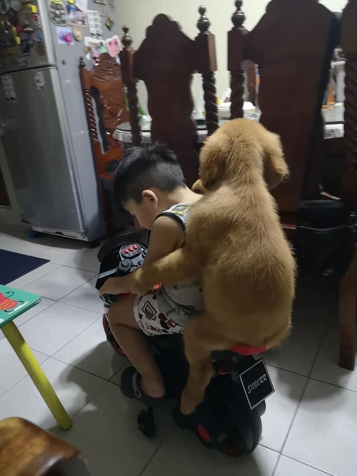 Bám cho chắc vào bạn eiiii 🤣🤣🤣