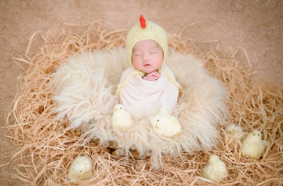 Ngắm ảnh các con đi các mẹ ơi, thai giáo mỹ thuật đấy ạ, ảnh em thuổng trên mạng thôi, cute quá
