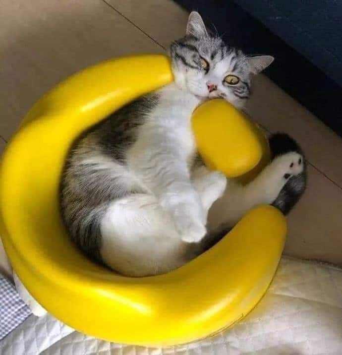 Trả cậu ghế để cậu tập 🤣🥲🤣