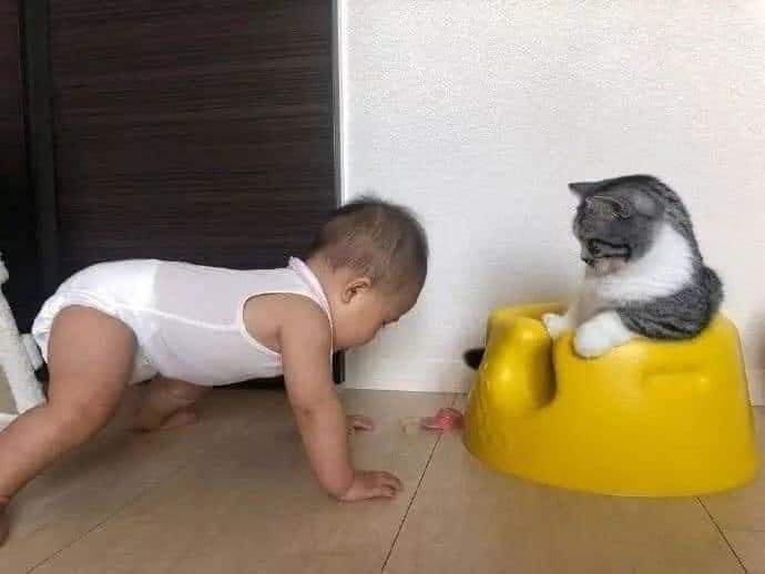 Trả cậu ghế để cậu tập 🤣🥲🤣