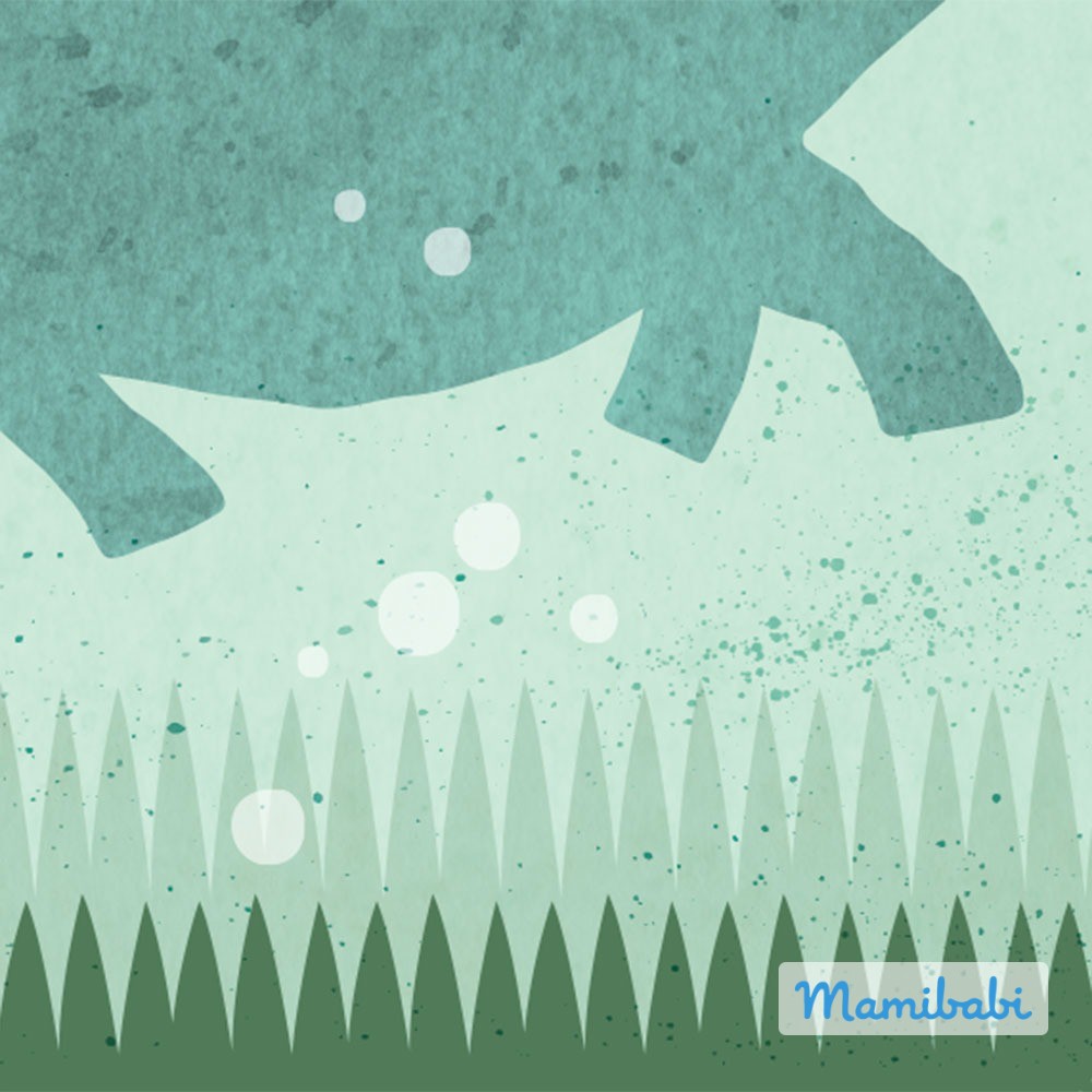 Truyện Ehon - Truyện tranh thai giáo: Tiếng cười đánh rơi