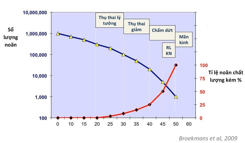 Nguyên nhân chính của sẩy thai
Sự thật mà nhiều người chưa biết, ngay cả nhân viên y tế. 

- Người vợ trẻ tuổi hay lớn tuổi (<35 hay >/=35), nguyên nhân sẩy thai chủ yếu vẫn là bất thường nhiễm sắc thể ở phôi.

- Cho dù sẩy thai trước 7 tuần hay sẩy thai sau 7 tuần, nguyên nhân chủ yếu vẫn là do phôi bị bất thường nhiễm sắc thể 

- Cho dù sẩy thai sau có thai tự nhiên (NC) hay sau TTTON (IVF), thì nguyên nhân sẩy thai chủ yếu vẫn là do bất thường nhiễm sắc thể. 

Sẩy thai sau IVF có tỉ lệ bất thường nhiễm sắc thể thấp hơn, có thể do khi việc chọn lựa phôi để cấy vào tử cung đã giúp loại bớt phôi bất thường (có thể dự đoán được khi đánh giá phôi dưới kính hiển vi hoặc PGT-A). 

Phụ nữ trên 35 tuổi sẩy thai có tỉ lệ bất thường nhiễm sắc thể cao hơn phụ nữ <35 tuổi. 
Xem minh hoạ ở hình 1 . 

- Trục tung: là tỉ lệ bệnh nhân sẩy thai có thai bất thường nhiễm sắc thể.

- Trục hoành có 4 nhóm bệnh nhân: sẩy thai < 7 tuần, mẹ <35 tuổi và >/= 35 tuổi; sẩy thai 7-12 tuần, mẹ <35 và >/= 35 tuổi. Cột màu đen là thai tự nhiên (NC), cột chấm đen/trắng là thai sau IVF.

Thai đã bất thường nhiễm sắc thể nặng thì chắc chắn sẽ sẩy thai, không thể sửa chữa bằng bất cứ loại thuốc nào hay nằm tại chỗ. Cái này mọi người thường làm: cho đủ thứ thuốc và nằm bất động. 

Nguyân nhân sẩy thai được giải thích là do phụ nữ càng lớn tuổi, tỉ lệ trứng bất thường càng cao, dẫn đến tỉ lệ phôi bất thường nhiễm sắc thể càng cao và tỉ lệ sẩy thai càng cao. (hình 2 và 3)

- Hình 2: càng lớn tuổi, tỉ lệ noãn bất thường càng tăng (xem đường màu đỏ và trục tung bên phải; trục hoành là độ tuổi mẹ)

- Hình 3: càng lớn tuổi, tỉ lệ sẩy thai càng tăng (xem đường màu đỏ và trục tung bên phải; trục hoành là độ tuổi mẹ). 

Các nghiên cứu gần đây khi khảo sát về di truyền trên mô thai sẩy, cũng khẳng định đặc điểm này của sẩy thai. Người cha lớn tuổi, tinh trùng bất thường, cũng làm tăng nguy cơ sẩy thai. 

Trung bình, hơn 1/3 phôi người có bất thường nhiễm sắc thể. Đây là tỉ lệ tự nhiên. 

PS. Bạn nào thấy hay và hữu ích thì share cho nhiều người cùng biết. 
- BS Ho Manh Tuong