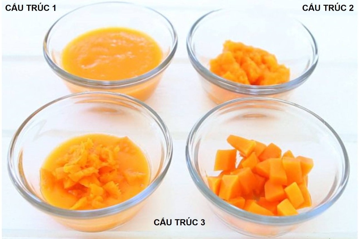 CÁCH THAY ĐỔI CẤU TRÚC THỨC ĂN THEO ĐỘ TUỔI
Trong ăn truyền thống dạng đút muỗng, trẻ thường nhạy cảm với sự hiện diện độ cứng của muỗng đút, Với những trẻ ăn theo PP Tự Chỉ Huy BLW thì không có cảm giác này xảy ra vì bé không dùng muỗng. Tại vì muỗng luôn có độ cứng hơn so với thức ăn của bé, điều này sẽ tạo 1 kích thích lên não và cần nhiều hơn sự tăng độ thô dần dần để cân bằng kích thích này, do đó việc gia tăng cảm giác về cấu trúc thô dần của thức ăn là cần thiết để trẻ phát triển về việc sử dụng cơ hàm và cấu trúc của thức ăn. Nếu cha mẹ cho bé ăn cháo loãng quá lâu sẽ làm mất cân bằng trong cấu trúc này. Vì lí do này, ngay từ đầu cha mẹ nên cố gắng chuyển đúng cấu trúc thức ăn cho bé theo độ tuổi sẽ dễ dàng hơn cho bé làm quen với mùi vị, cấu trúc và không biếng ăn. Nhiều cha mẹ quan tâm đến việc bé không đủ răng thì chuyển cấu trúc có được không? Hiệp hội dinh dưỡng lâm sàng Anh và Viện Nhi khoa của Mỹ đều đưa ra hướng dẫn: cấu trúc thức ăn không phụ thuộc vào số răng bé có, mà nó liên quan đến sự phát triển não bộ theo độ tuổi. Các bạn có thể xem hình đính kèm bài viết về cấu trúc thức ăn theo độ tuổi.

CẤU TRÚC THỨC ĂN
Cấu trúc 1 (thích hợp cho bé 5.5- hết 6 tháng tuổi): Dạng xay rây nhuyễn, mịn

Cấu trúc 2: (thích hợp cho bé 7- hết 9 tháng): Dạng cà nát, không cần rây, có hạt lợn cợn.

Cấu trúc 3 (từ 10 tháng tuổi): Dạng xé nát, cà nát, có hình cấu trúc thức ăn. Cơm nát chuyển dần sang cơm hột nữa/hột nguyên. Sau đó, có thể giới thiệu các loại thức ăn cắt hình ngón tay. Sau 1 tuổi, trẻ có thể ăn đa dạng những cấu trúc.

CÁCH THAY ĐỔI CẤU TRÚC THỨC ĂN THEO ĐỘ TUỔI
Các bạn có thể xem hình đính kèm bài viết. Thao tác chuyển cấu trúc rất đơn giản, nhưng thực sự có ích cho sự phát triển hành vi ăn uống của trẻ, đặc biệt trong khám phá cấu trúc thức ăn.

Cấu trúc 1: Đơn giản bạn trộn các nguyên liệu lại thêm 1 ít nước/sữa và dùng 1 máy xay nhuyễn và rây. Cháo thì nấu tỉ lệ 1:10 (1 muỗng gạo: 10 muỗng nước) hoặc 1:7 (1 muỗng cơm : 7 muỗng nước/sữa)

Khi đến cấu trúc 2 thì dùng cái nĩa dằm nát thức ăn ra là sẽ ra cấu trúc thích hợp.

Cấu trúc 3 thì giống cấu trúc 2 nhưng đánh ít nát hơn hoặc thêm 1 vài mẫu thịt cá bằng đầu ngón tay út trộn vào.

TẠI SAO CẦN CHUYỂN CẤU TRÚC THỨC ĂN:

Cấu trúc thức ăn là có mối liên hệ với các tác nhân gây kích thích sự thèm ăn khác của trẻ bao gồm cả vị giác, khứu giác và thị giác. Sự hoạt động của các cơ hàm và sử dụng lưỡi được hoàn thiện dần từ giai đoạn chuyển từ bú sữa (chất lỏng) sang ăn thức ăn dặm từ loãng (bán lỏng) đến thô dần (thức ăn đặc). Sự hoàn thiện này giúp tạo 1 tính hiệu giữa nhai thức ăn và bộ phân phụ trách "thèm ăn và hưng phấn" trong não bộ trẻ, dẫn đến việc thưởng thức thức ăn của riêng trẻ. Trong nghiên cứu của GS. Edmund T. R., từ Trung tâm Computational Neuroscience, Oxford, UK, đã cho thấy cấu trúc thức ăn liên quan đến hoạt động của não bộ từ sớm trong việc kích thích sự thèm ăn ở trẻ. Việc này giúp trẻ phát triển tốt nhận thức về cấu trúc, cùng với mùi vị và màu sắc của thức ăn liên quan. Điều mà đúng với thực hành ăn dặm luôn khuyên cha mẹ tự làm món ăn và thay đổi cấu trúc phù hợp.

Một nghiên cứu khác gần đây của nhóm TS. Jessica W., ĐH Maastricht đã có 2 kết luận khác quan trọng về cấu trúc thức ăn lên sự chấp nhận (không bị biếng ăn) ở trẻ nhỏ:
*Ở độ tuổi rất nhỏ, ngay từ khi bắt đầu ăn dặm, cấu trúc thức ăn cũng giữ vai trò chính trong việc liên quan đến sự chấp nhận thức ăn ở trẻ, thậm chí hơn cả màu sắc thức ăn. Sau khi hoàn thiện cấu trúc thức ăn (sau 1 tuổi) trẻ bắt đầu có nhận thức đa dạng về màu sắc và mùi vị của thức ăn. Do đó, trong thực hành ăn dặm luôn khuyên cha mẹ thay đổi cấu trúc thức ăn và chế biến đa dạng về màu sắc và mùi vị để trẻ dần phát triển.

*Việc thay đổi cấu trúc thức ăn đúng độ tuổi sẽ giúp ngăn ngừa hoặc làm giảm tình trạng biếng ăn do cấu trúc ở trẻ nhỏ.

Nếu bé đã lỡ bị bỏ qua cấu trúc thì cha mẹ đừng quá ngạc nhiên là bé không có động tác nhai và hay nhè, không muốn ăn. Trong hướng dẫn của BYT Anh đã nói rõ: bé từ 7 tháng tuổi là chuyển sang dạng cấu trúc lumpy và từ 10 tháng tuổi đã cần được giới thiệu cấu trúc diced. Kéo dài cấu trúc cháo loãng sẽ trì hoãn khả năng sử dụng tốt các cơ để nhai, trì hoãn nhận biết về cấu trúc thức ăn và không phát triển vị giác. Do đó, việc biếng ăn là hậu quả của việc trì hoãn này.