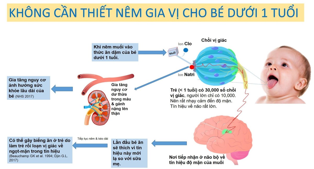 TRẢ LỜI CÂU HỎI BÉ ĂN LẠT QUÁ CÓ GÂY THIẾU HỤT NATRI VÀ GÂY ẢNH HƯỞNG ĐẾN SỨC KHỎE
Gần đây, tôi nhận được 1 số câu hỏi của cha mẹ quan tâm về việc có nên nêm gia vị vào thức ăn dặm cho bé dưới 1 tuổi không? Một số lo lắng: Liệu không nêm gia vị, bé ăn lạt quá có chán ăn không? Liệu bé ăn lạt quá có gây thiếu hụt natri và gây ảnh hưởng đến sức khỏe như phù não không?
NHỮNG ĐIỀU CHA MẸ NÊN BIẾT:
Trẻ dưới 1 tuổi số lượng chồi vị giác là nhiều gấp 3 lần so với người lớn. Do đó, trẻ sẽ nhạy cảm với độ mặn gấp 3 lần so với người lớn và cảm giác "mằn mặn" khi bạn nêm có thể là rất mặn đối với bé
QUY TRÌNH KHI BÉ TIẾP NHẬN VỊ MẶN TỪ VIỆC THÊM MUỐI VÀO THỨC ĂN
Muối cho vào thức ăn của bé sẽ tạo ra 2 ion: Clo và Natri. Trong đó, Natri sẽ phụ trách tín hiệu độ mặn lên chồi vị giác. Trẻ có gần 30,000 chồi như vậy để dẫn truyền tín hiệu vào 1 vùng tiếp nhận vị giác ở não. Tín hiệu này diễn ra rất nhanh. Bé sẽ hứng thú với thức ăn đó cho lần đầu. Nhưng, việc cho bé dưới 1 tuổi ăn thêm muối tiếp tục và lâu dài, có thể làm bé chịu ăn mặn và rất dễ rối loạn vị giác (ở đây là vị ngọt) dẫn đến biếng ăn sau đó.
Một số lo lắng khác là nhu cầu muối (natri) trẻ sơ sinh dưới 1 tuổi là dưới 1 gram (400mg Natri)/ngày. Lượng này rất nhỏ, trẻ có thể lấy đủ từ sữa và thực phẩm. Việc bổ sung thêm gia vị vào thực phẩm, nếu dư thừa sẽ tồn đọng trong máu hoặc đẩy xuống thận. Việc thận bé chưa hoàn chỉnh chức năng sẽ là một gánh nặng trong việc loại bỏ muối ra khỏi cơ thể.
LO LẮNG VỀ THIẾU HỤT NATRI DƯỚI 1 TUỔI
Việc thiếu hụt natri là rất hiếm ở trẻ khỏe mạnh vì khi bú mẹ hoặc uống sữa công thức đã cung cấp 1 lượng natri đủ. Hơn nữa, các thực phẩm bản thân cũng chứa 1 lượng natri không nhỏ, do đó, trẻ dưới 1 tuổi có thể nhận đủ Natri mà không cần phải thêm muối vào. 
Những trường hợp bé thiếu natri thường liên quan đến 1 bệnh lý nào đó hoặc đang được chuyên gia kê dùng thuốc/sữa bị hạn chế natri.
HƯỚNG DẪN HIỆN NAY VỀ NHU CẦU MUỐI TRẺ DƯỚI 1
Nhỏ hơn 1 gram muối /ngày và tương đương cần ít hơn 400mg Natri
Thông thường, các bé lấy đủ nguồn muối và natri này từ sữa mẹ, sữa công thức và thức ăn dặm (vì bản thân thực phẩm đã có chứa 1 lượng lớn Natri).
Do đó, bạn được khuyên là không nêm muối/nước mắm/nước tương (trẻ em) vào thức ăn dặm cho trẻ dưới 1 tuổi.
Trích dẫn: Hướng dẫn của Bộ Y Tế Anh dành cho cha mẹ 2017
CÂU HỎI: SAU 1 TUỔI, CÓ THỂ NÊM GIA VỊ CHO BÉ KHÔNG?
Sau 1 tuổi, cha mẹ có thể nên gia vị cho bé. Tuy nhiên, phải giới hạn trong mức cho phép theo độ tuổi như:
Bé 1-3 tuổi: Muối không quá 2 gram (800mg Natri)
Bé 4-6 tuổi: Muối không quá 3 gram (1200mg Natri)
Tôi đã có bài hướng dẫn về lượng muối và các loại gia vị khác như đường, nước mắm, nước tương, tỏi, hành, rau mùi. Các bạn xem lại bài trước đây của tôi để tham khảo lượng thêm vào cho các bé.
