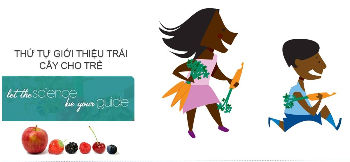 THỨ TỰ GIỚI THIỆU TRÁI CÂY CHO BÉ.

Gần đây, Gs.Bs, Chambers, đại diện viện dinh dưỡng Anh quốc, đã nhấn mạnh: việc bổ sung trái cây và loại trái cây cho bé dưới 1 tuổi là cần phải hiểu đúng để bé không bị rối loạn vị giác và biếng ăn

CÁCH CHỌN TRÁI CÂY CHO BÉ
* Chọn loại có độ ngọt trung bình, không quá ngọt
* Chọn trái cây chín, không chọn loại còn sống

NHỮNG TRÁI CÂY KHUYÊN DÙNG KHI BÉ BẮT ĐẦU ĂN DẶM

2-3 Tuần đầu tiên
* Chuối
* Trái bơ
[Theo Gs. Chambers, chuối và bơ là 2 loại trái cây dễ hấp thụ và ít gây các vấn đề vị giác và dị ứng, nên có thể được chọn như là những trái cây đầu tiên của bé]

Tuần 4-5 trở đi
* Táo
* trái xoài
* Dâu tây
* Thanh long
* Các loại berry khác (VD. Blackberry, trái cherry,...)
* Kiwi
* Đu Đủ
* Sơri
* Thơm
[Ở trên là một số loại trái cây thông dụng, nên giới thiệu theo thứ tự ở trên để bé thích nghi từ từ vị khác nhau của trái cây. Còn các loại khác không đề cập ở trên thì nên chọn loại trái cây có độ ngọt trung bình, và giới thiệu sau khi bé quen các loại trên trước.]

CÁCH CHO BÉ ĂN TRÁI CÂY NGUYÊN MIẾNG
Ts. Ebba khuyên: có thể cho bé ăn từ 8 tháng tuổi, nhưng theo 3 nguyên tắc sau:
* Sau bữa chính 30-45 phút
* Hoặc tách hẳn ra thành 1 bữa phụ, cách bữa chính 2-3 tiếng.
* Ăn trái cây trực tiếp, ngày không quá 60 gram

CÁCH CHO BÉ ĂN DẠNG XAY NHUYỄN NHƯ SINH TỐ
Xay nguyên trái:
Chỉ có sinh tố bơ, chuối cho bé dùng 6 -6.5 tháng
Các loại khác dùng sau tuần 4-5 ăn dặm (sau 6.5 tháng), chọn loại trái cây ít ngọt để làm sinh tố như kiwi, xoài, thăng long. Có thể phối hợp trong bữa ăn dặm chính hoặc giới thiệu trong bữa phụ.

CÁCH KẾT HỢP CÁC LOẠI TRÁI CÂY KHÔNG GÂY RỐI LOẠN VỊ GIÁC CỦA BÉ
Theo Ts. Ebba việc chọn và kết hợp trái cây giới thiệu cho bé là quan trọng để bé không thiên 1 vị, mà các vị giác sẽ ổn định, hơn nữa cũng giúp tăng năng lượng và chất dinh dưỡng khi kết hợp. Ts. Ebba gợi ý một số sự kết hợp sau:
*Bơ và chuối
* Đu đủ và xoài
* Táo, chuối và lê
* Bơ và táo/lê
* Bơ, táo/lê, 1 loại berry nào đó (VD Blueberry/dâu tây/blackberry)

CÁCH CHO BÉ UỐNG NƯỚC ÉP ĐÚNG
* Không cho bé dưới 6 tháng tuổi dùng nước ép trái cây.
* Trẻ dưới 6 tháng tuổi chỉ dùng nước ép dưới hướng dẫn của chuyên gia dinh dưỡng (Ví dụ nước ép như liệu pháp nhuận tràng trong táo bón ở các bé- Đọc thêm bài viết của tôi về táo bón ngày 9/3/2016)
* Trẻ từ 6 tháng - 7.5 tháng: không khuyến khích dùng, nếu dùng nước ép thì dùng dưới dạng pha loãng 1:3 (1 muỗng nước ép pha với 3 muỗng nước)
* Trẻ từ 7.5 tháng tuổi - 1 tuổi: có thể dùng nước ép không cần pha loãng. Nhưng giới hạn dưới 80ml/ngày, tuần không quá 3 ngày
* trẻ 1-6 tuổi, giới hạn dưới 110-160ml/ngày, tuần không quá 4 ngày