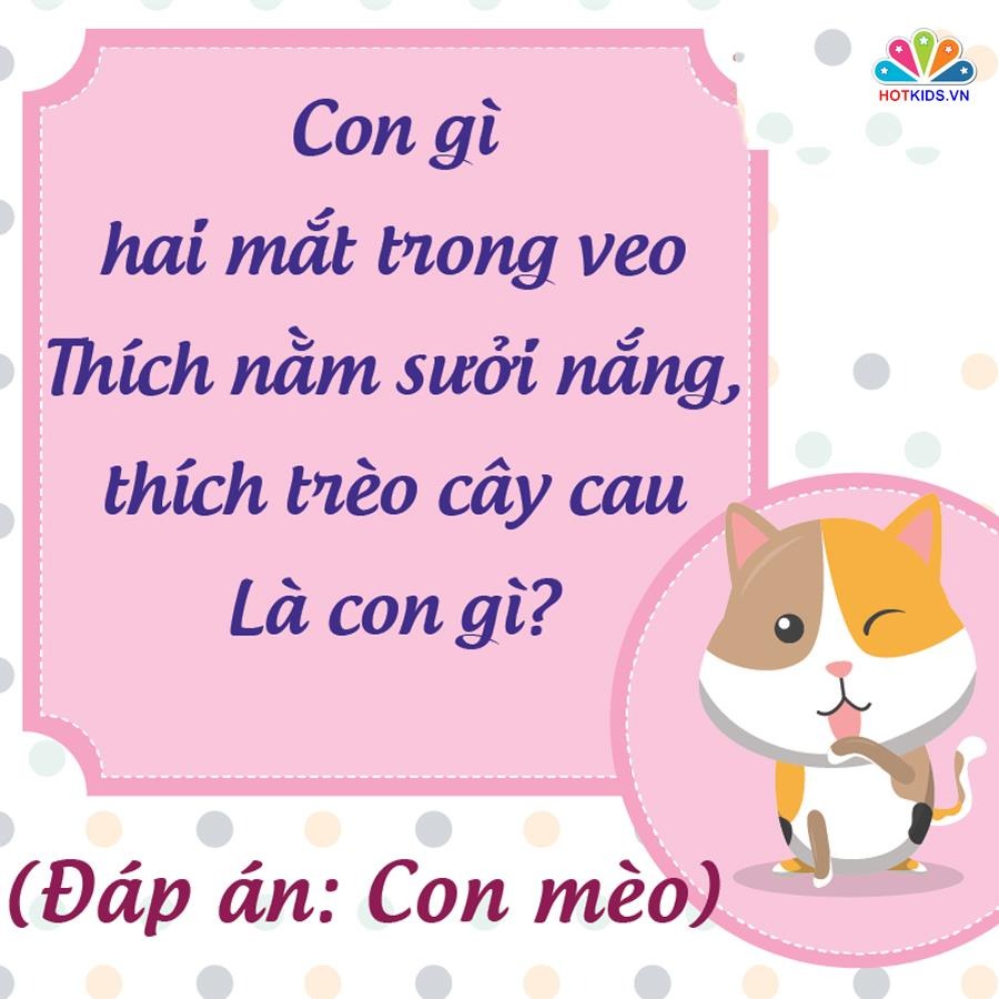 NHỮNG CÂU ĐỐ DÂN GIAN RÈN TRÍ THÔNG MINH CHO BÉ 💖💖💖

👉 Nghiên cứu cho thấy trẻ sớm tiếp xúc với câu đố dân gian sẽ rèn luyện tư duy và phát triển não bộ. Với trẻ những câu đố vui còn rất hữu ích trong quá trình rèn luyện trí thông minh và nhận thức thế giới xung quanh. Những câu đố vui dành cho bé thường là về thiên nhiên, cây cối, con vật, đồ vật và những thứ rất gần gũi trong cuộc sống hàng ngày.

Khi đọc những câu đố vui cho trẻ em, ba mẹ nên vỗ tay theo nhịp, khuyến khích bé đọc theo sẽ làm cho không khí càng thêm sôi nổi. Kèm theo đó, mẹ có thể chuẩn bị một vài phần quà nho nhỏ như cuốn sách hay món ăn nào đó dành cho bé khi bé trả lời đúng đáp án. 

Dưới đây là một số câu đố giúp trẻ rèn luyện trí não đã được lưu truyền rất lâu trong dân gian. Ba mẹ bấm vào từng hình để xem chi tiết nhé ❤.