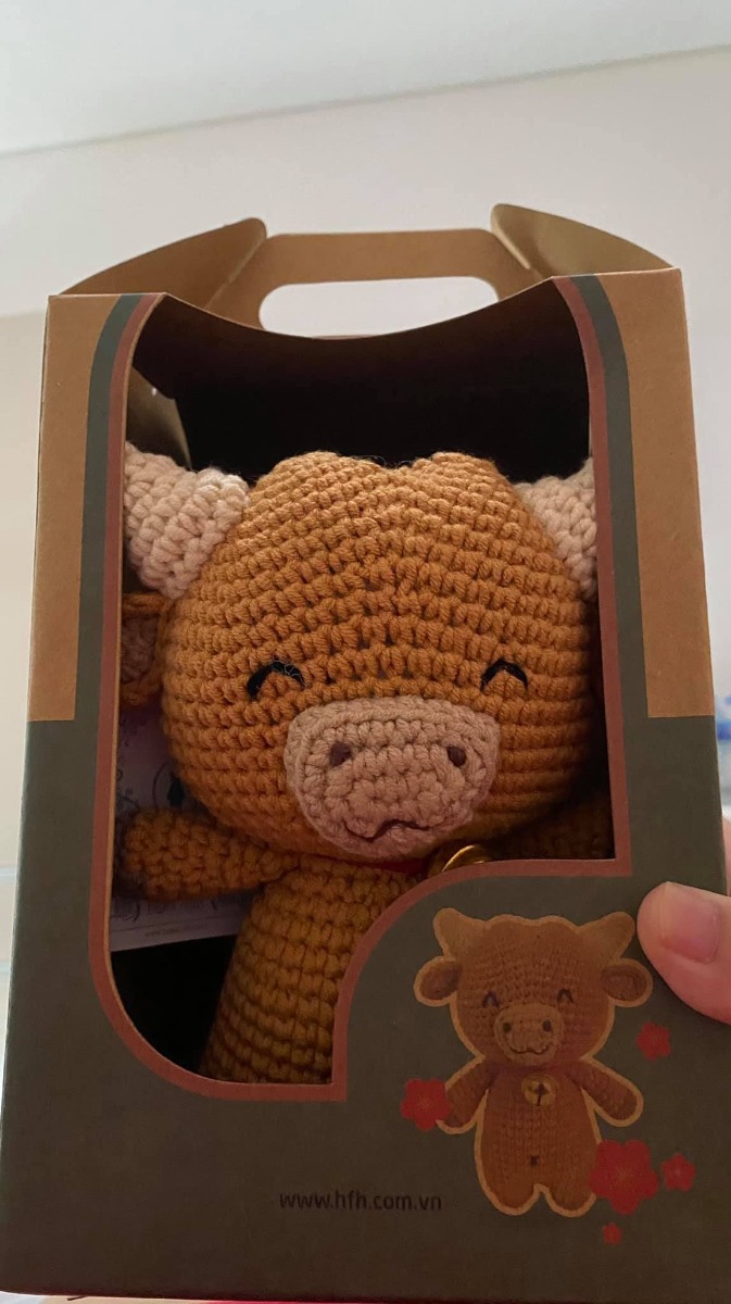 Hôm nay nhân lúc ông con ngủ khì khì mình viết vài dòng review về trải nghiệm đẻ mổ lần 2 tại Việt Pháp. 

Nói qua một chút là lần đầu mình đăng kí sinh thường ở VP, mua gói từ 12w luôn nhưng tới khi chuyển dạ 19 tiếng không đẻ được nên mình phải mổ cấp cứu. Vậy nên lần 2 này mình đăng kí mổ chủ động luôn, có cả chọn bác sĩ, chọn ngày và chọn giờ luôn cho phong thuỷ.

1. Về chuyên môn:

- Khám thai: Suốt quá trình khám thai mình khám bác Hợp. Bác rất nhẹ nhàng cẩn thận, có nhắc nhở nhẹ nhàng đừng tăng cân nhiều quá chứ không hề gắt quá về chuyện cân nặng như 1 số mẹ review trước đây. 
Tới 2 buổi khám cuối sát ngày mổ mình chuyển khám bác Thu do đã book bác mổ cho mình (tin tưởng vì thằng cả nhà mình trước cũng bác Thu mổ và trộm vía mọi thứ rất êm đẹp). Nhìn chung cả 2 bác khám mình đều ưng ý, không có phàn nàn gì nha. Bác Thu đồng ý cho mình mổ chủ động ở 38w2d.

- Lấy ven lúc nhập viện: Lần đẻ thằng cả mình bị ám ảnh khâu lấy ven vì lúc đó không hiểu sao rất đau và cực kì xót nữa, mình đau chảy nước mắt tới nỗi y tá phải đổi kim thành kim em bé thay vì kim người lớn cho mình :)). Lần 2 này thì trộm vía gặp được 1 bạn y tá trẻ rất niềm nở. 
Bạn cũng rất nhẹ nhàng nên lúc lấy ven mình chỉ cảm thấy nhói 1 xíu lúc đưa kim vào chứ không bị đau quá, mình thở phào luôn. Thế nhưng khs khi ra viện thì chỗ rút kim ý vẫn bị thâm tím mất chục ngày :)), chắc do mình không có duyên với lấy ven rồi.

- Gây tê ngoài màng cứng: Ôi cái này lần 1 nhanh bao nhiêu thì lần mổ thứ 2 này mình sợ bấy nhiêu. Các y bác sĩ nói do lưng mình võng quá nên khó chọc, nên chọc đi chọc lại chắc 5-6 lần và mỗi lần đều đau và thốn rất khó tả, mình nhớ 2-3 lần cuối mình còn gào ầm lên, các y bác sĩ phải nắm vai động viên còn mình thì vừa ngồi cong lưng như con tôm vừa nhắm tịt mắt rên rỉ. Nói chung là ám ảnh :((.

- Khi mổ đẻ: Lần mổ này mình cảm nhận được hoàn toàn quá trình mổ. Mình book lịch đẻ 9h sáng thì 9h18’ thằng cu bé nhà mình cất tiếng khóc chào đời rồi. Do đã gây tê nên mình chỉ cthay bác sĩ chọc ngoáy làm thủ thuật đưa bé ra rất nhanh, còn sau đó chủ yếu là vệ sinh và khâu vá lại cho mẹ thì phải. Mình chưa tận mắt nhìn nhưng ai cũng bảo vết mổ mình đẹp và sạch sẽ.

2. Về dịch vụ:

- Các nhân viên bệnh viện đều niềm nở và nhiệt tình từ lúc mình vào viện tới khi out, tuyệt đối không gặp trường hợp khó chịu nào về thái độ. 

- Phòng ốc: ban đầu mới nhập viện mình được các chị y tá xếp cho vào phòng đơn 1 mình 1 phòng ý ạ. Phòng sạch sẽ đủ tiện nghi lắm nhưng mình sợ ở nvay rất buồn do mình phải lưu viện tận 4 đêm. Sau một hồi cân nhắc thì chồng mình qđịnh up lên phòng có người nhà ở lại, thực chất là phòng đôi có 2 giường đó. Phòng rất rộng rãi, có tủ quần áo to chứa váy bệnh nhân, bỉm và băng vệ sinh đầy đủ cho mẹ. Nhà vệ sinh cũng rộng rãi, sạch sẽ nữa. Nói chung về phòng ốc thì mình cũng hài lòng luôn (dù phải trả thêm chi phí kha khá).

- Đồ ăn: Ngày đầu do chưa xì hơi được nên mình chỉ được ăn cháo thui. Sang ngày 2 xì hơi được cái là ăn cơm phở bt. Ở viện mình thấy suất cơm rất chất lượng, nhiều cơm, đồ ăn, có đủ hoa quả và sữa chua tráng miệng nữa. Lần nào mình cũng ăn hết sạch :)). Thích nhất là viện không kiêng cữ quá nên đồ ăn đa dạng, mình thích cơm tôm với thịt kho tàu ở viện lắm 🙂.

- Dịch vụ chăm sóc mẹ và bé: Như mình đã nói các nhân viên, y bác sĩ đều rất niềm nở và ân cần với mình. Mình trông bé ban ngày và cứ tới 11h đêm cho bé bú trực tiếp cữ cuối thì mình gửi các cô trông để mẹ được nghỉ ngơi. Có lúc mình bị cương ngực, hút mãi không kiệt + phòng vắt sữa hơi nóng, các cô cũng hỗ trợ cho mình mượn cái đèn chiếu ngực về tận phòng để mình tự massage trong phòng cho mát nữa. Tới ngày thứ 3 sau mổ là có tận y tá vào phòng tắm gội sấy tóc cho mình rồi (nên mẹ nào muốn kiêng cũng không được nhé :)).

Khi ra viện, mình nhận được quà của bệnh viện là 1 chú trâu vàng bông cho em bé, 1 bình sữa Chicco núm nghiêng rất xinh và bịch bỉm Huggies, 1 túi tote du lịch + 1 chai dầu massage Chicco travel size nữa 🙂. Lúc xuất viện các chị y tá cũng lấy xe đẩy cho mình xuống tận tầng 1 rất chu đáo 🙂.

3. Về chi phí:

- Gói thai đẻ mổ 12w: 61,2tr 
- Chi phí thăm khám + tiền thuốc phát sinh: mình áng chừng 5tr nhé
- Chi phí up phòng có người nhà ở lại: đâu đó hơn 6tr x 4 đêm = hơn 24tr nữa (ngoài gói)
- Chi phí chọn giờ sinh mổ: 12,6tr
- Tổng chi phí đi đẻ khoảng 102,6tr, tuy nhiên mình có bảo hiểm claim và chế độ thai sản ở công ty nên loanh quanh thực chi khoảng 45tr tất cả.

Nhìn chung mình thấy đẻ mổ chủ động lần này ngoại trừ là đau dã man khi tan tê mổ và lúc gây tê ám ảnh thì mọi thứ mình thấy đều ok, có lẽ do may mắn trúng lúc chưa bùng dịch lại nên có người nhà ở lại khiến mình thấy quá trình đi đẻ đỡ buồn hẳn. 

Nếu các mẹ đang có ý định sinh mổ chủ động mà không có nhu cầu cần người nhà ở lại hay cần chọn giờ sinh phong thuỷ mình thấy chi phí sẽ giảm đi nhiều, tuỳ nhu cầu các mom nhé. Cảm ơn cả nhà đã đọc 😻.