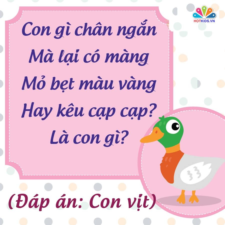 NHỮNG CÂU ĐỐ DÂN GIAN RÈN TRÍ THÔNG MINH CHO BÉ 💖💖💖

👉 Nghiên cứu cho thấy trẻ sớm tiếp xúc với câu đố dân gian sẽ rèn luyện tư duy và phát triển não bộ. Với trẻ những câu đố vui còn rất hữu ích trong quá trình rèn luyện trí thông minh và nhận thức thế giới xung quanh. Những câu đố vui dành cho bé thường là về thiên nhiên, cây cối, con vật, đồ vật và những thứ rất gần gũi trong cuộc sống hàng ngày.

Khi đọc những câu đố vui cho trẻ em, ba mẹ nên vỗ tay theo nhịp, khuyến khích bé đọc theo sẽ làm cho không khí càng thêm sôi nổi. Kèm theo đó, mẹ có thể chuẩn bị một vài phần quà nho nhỏ như cuốn sách hay món ăn nào đó dành cho bé khi bé trả lời đúng đáp án. 

Dưới đây là một số câu đố giúp trẻ rèn luyện trí não đã được lưu truyền rất lâu trong dân gian. Ba mẹ bấm vào từng hình để xem chi tiết nhé ❤.