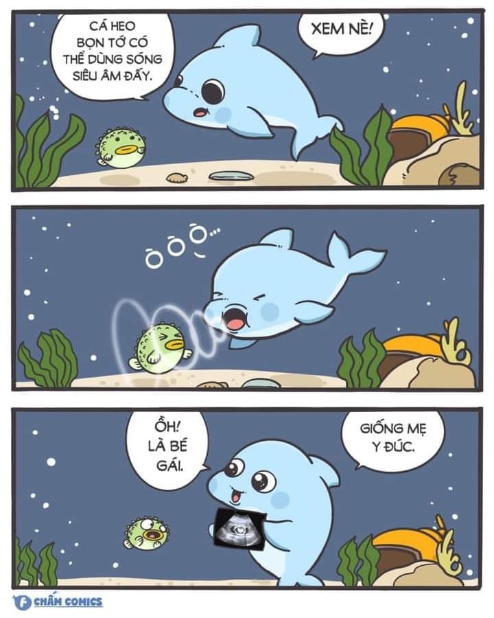 Hahah kute xỉu nè các mẹ