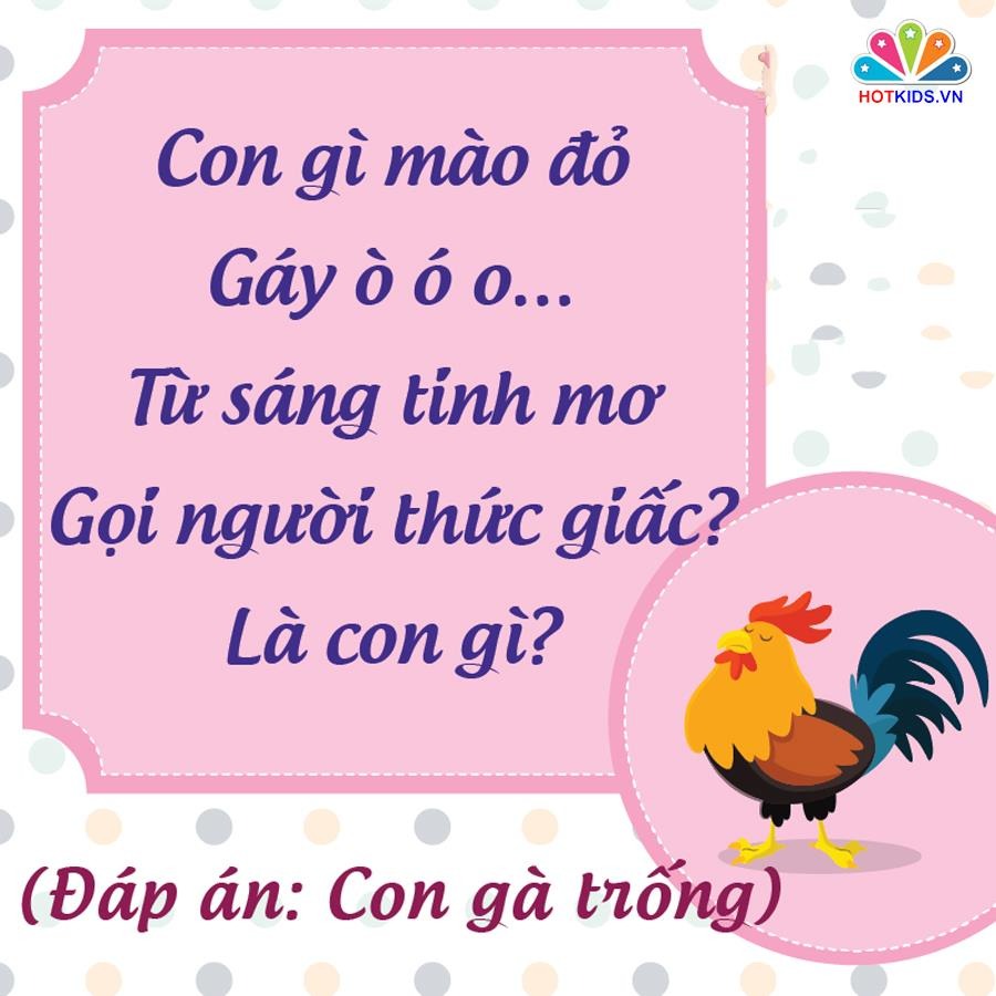NHỮNG CÂU ĐỐ DÂN GIAN RÈN TRÍ THÔNG MINH CHO BÉ 💖💖💖

👉 Nghiên cứu cho thấy trẻ sớm tiếp xúc với câu đố dân gian sẽ rèn luyện tư duy và phát triển não bộ. Với trẻ những câu đố vui còn rất hữu ích trong quá trình rèn luyện trí thông minh và nhận thức thế giới xung quanh. Những câu đố vui dành cho bé thường là về thiên nhiên, cây cối, con vật, đồ vật và những thứ rất gần gũi trong cuộc sống hàng ngày.

Khi đọc những câu đố vui cho trẻ em, ba mẹ nên vỗ tay theo nhịp, khuyến khích bé đọc theo sẽ làm cho không khí càng thêm sôi nổi. Kèm theo đó, mẹ có thể chuẩn bị một vài phần quà nho nhỏ như cuốn sách hay món ăn nào đó dành cho bé khi bé trả lời đúng đáp án. 

Dưới đây là một số câu đố giúp trẻ rèn luyện trí não đã được lưu truyền rất lâu trong dân gian. Ba mẹ bấm vào từng hình để xem chi tiết nhé ❤.