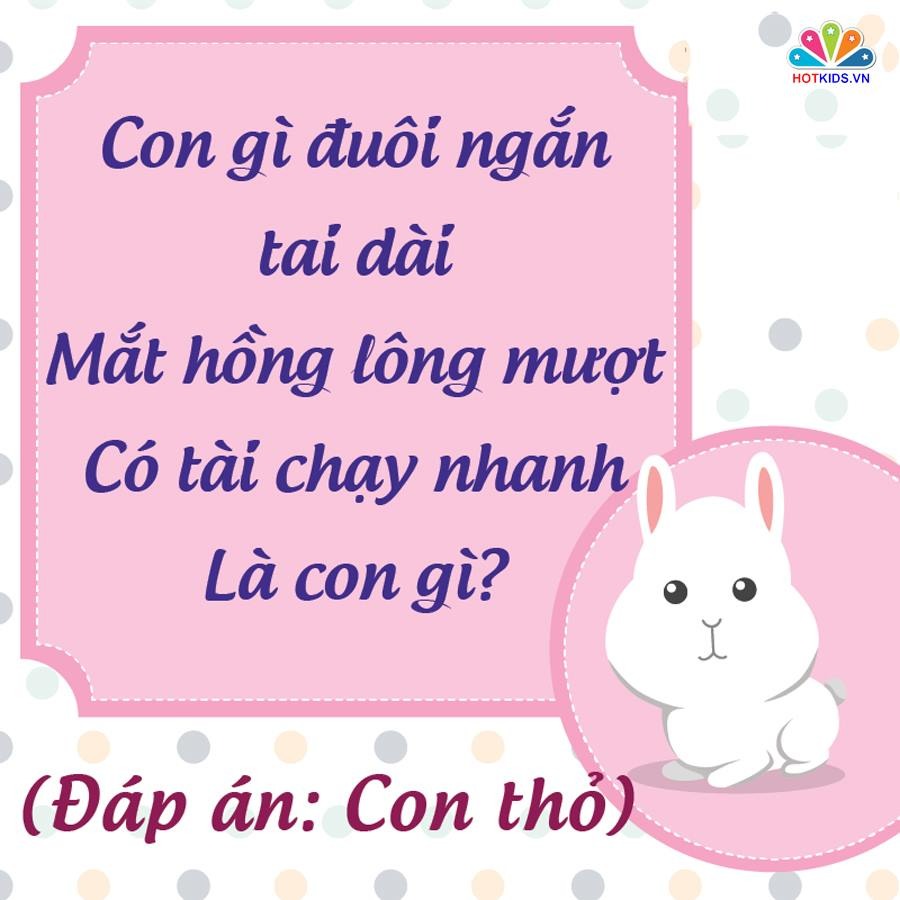 NHỮNG CÂU ĐỐ DÂN GIAN RÈN TRÍ THÔNG MINH CHO BÉ 💖💖💖

👉 Nghiên cứu cho thấy trẻ sớm tiếp xúc với câu đố dân gian sẽ rèn luyện tư duy và phát triển não bộ. Với trẻ những câu đố vui còn rất hữu ích trong quá trình rèn luyện trí thông minh và nhận thức thế giới xung quanh. Những câu đố vui dành cho bé thường là về thiên nhiên, cây cối, con vật, đồ vật và những thứ rất gần gũi trong cuộc sống hàng ngày.

Khi đọc những câu đố vui cho trẻ em, ba mẹ nên vỗ tay theo nhịp, khuyến khích bé đọc theo sẽ làm cho không khí càng thêm sôi nổi. Kèm theo đó, mẹ có thể chuẩn bị một vài phần quà nho nhỏ như cuốn sách hay món ăn nào đó dành cho bé khi bé trả lời đúng đáp án. 

Dưới đây là một số câu đố giúp trẻ rèn luyện trí não đã được lưu truyền rất lâu trong dân gian. Ba mẹ bấm vào từng hình để xem chi tiết nhé ❤.
