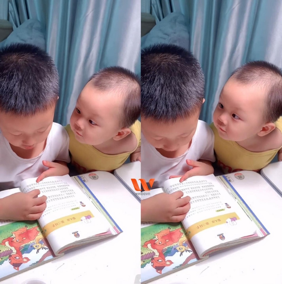 [GÓC CUTE] LÀM SAO CÓ THỂ CƯỠNG LẠI ÁNH MẮT NÀY CƠ CHỨ?

Anh trai đang bận học bài, em trai đứng kế bên cứ dùng ánh mắt 🥺 nhìn chằm chằm mong được anh trai để ý tới.

Trời ơi quay sang hun thằng nhỏ cái đi, tui nhìn mà sốt ruột giùm luôn á 🤣