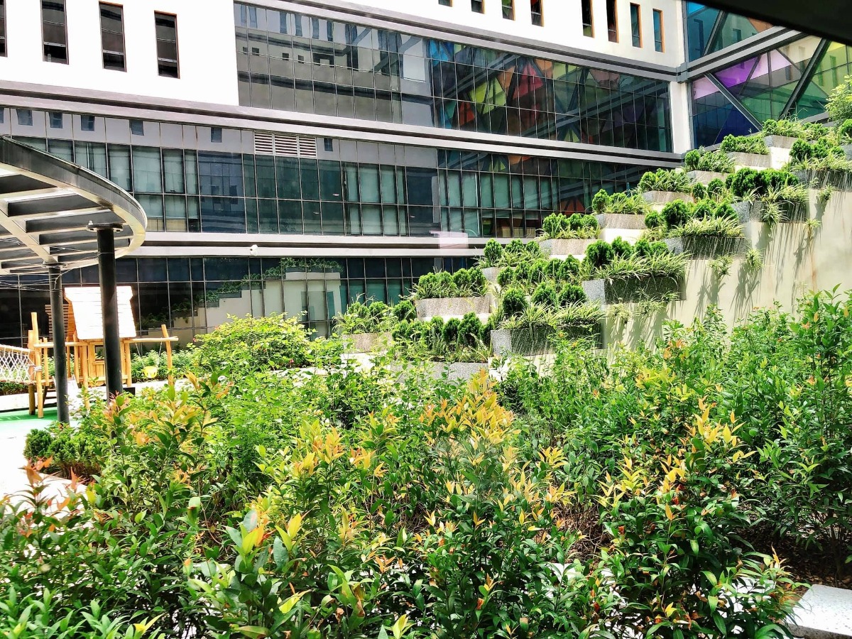 Trải nghiệm Bệnh viện đa khoa Hồng Ngọc Phúc Trường Minh ☺️
...
- Bước đến cổng có bảo vệ đỡ xuống xe và đo nhiệt độ
- Sau đó vào khu test nhanh covid và khử khuẩn, hết khoảng 30p
- Tiếp theo có các bạn nhân viên hướng dẫn và dắt các mẹ bầu đi từng phòng: khám - xét nghiệm nước tiểu - xét nghiệm máu- siêu âm - chạy máy
- Thời gian chờ kết quả xét nghiệm khá lâu (khoảng 1-1,5 tiếng). Trong thời gian này có thể xuống dưới tầng 1 ăn nhẹ, uống nước miễn phí ạ - lúc vào khám mỗi mom được phát 1 phiếu ăn free nha
- Khi có kết quả xét nghiệm, chạy máy đầy đủ thì sẽ đi khám với bác sỹ gây mê, đi nghe kết luận của bác sỹ sản và lên lịch hẹn cho lần sau
- Cuối cùng nếu các mẹ có nhu cầu thì sẽ có 1 bạn nhân viên tư vấn dẫn đi thăm quan và giới thiệu các khu bệnh viện nhé 😂
- Em update thêm ảnh các phòng VIP, phòng riêng, phòng tiêu chuẩn nhé.