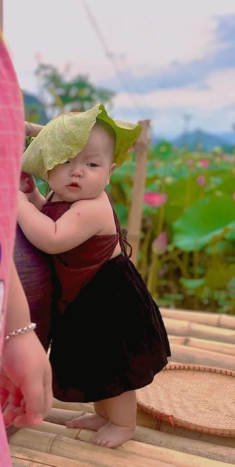 Trong đầm gì đẹp bằng sen
Lá xanh bông trắng lại chen một nàng 😘