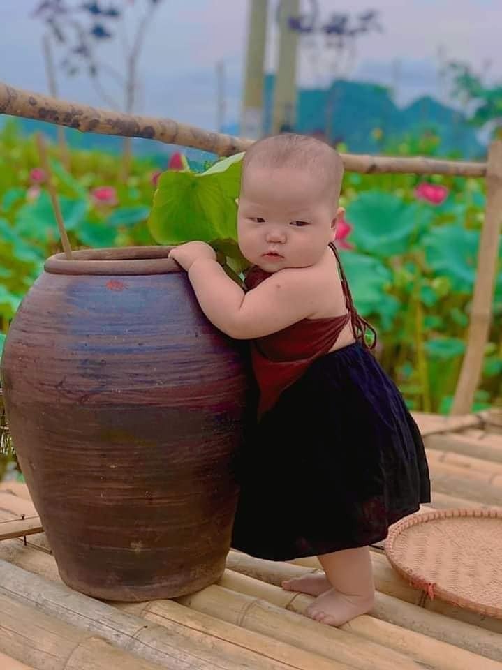 Trong đầm gì đẹp bằng sen
Lá xanh bông trắng lại chen một nàng 😘
