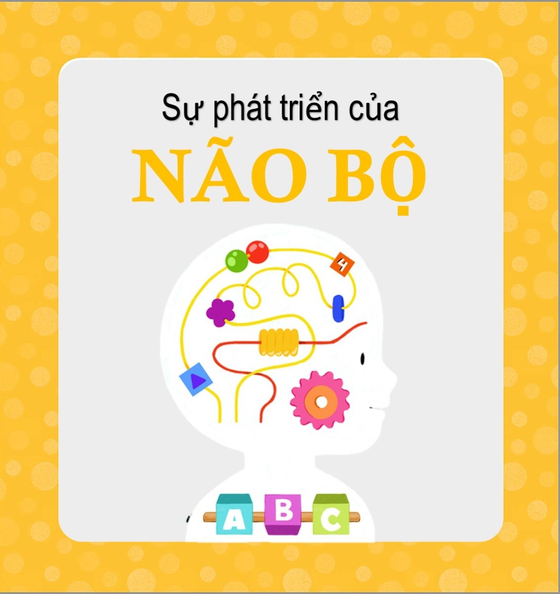 NÃO BỘ TRẺ NHƯ MỘT CHIẾC BÔNG THẤM
Não bộ trẻ có nhiều điều rất thú vị và được ví như một chiếc bông thấm. Lúc mới sinh, chiếc bông thấm bắt đầu thấm hút bất cứ thứ gì xảy ra trong môi trường những năm đầu đời của nó. Dù nước trong hay nước đục, dù ít hay nhiều, nó vẫn cứ thấm vào chiếc bông thấm này để rồi trở thành cái mà nó sẽ sử dụng cho phần cuộc đời sau này của một đứa trẻ. Khi nói về giai đoạn quan trọng nhất cho sự thành bại của một đứa trẻ, bà Maria Montessori từng nói “không phải ở tuổi học đại học, mà là thời kỳ đầu tiên, giai đoạn mới sinh đến khi sáu tuổi”. Nếu chọn thời điểm để đầu tư, thì đây chính là lúc cha mẹ nên đầu tư hơn bao giờ hết.

Vì sao như vậy?

VÌ ĐÂY LÀ GIAI ĐOẠN VÀNG TRONG PHÁT TRIỂN NÃO BỘ
Giống như sự phát triển chiều cao, não bộ cũng có cột mốc quan trọng cho sự phát triển của nó. Như chúng ta đã biết, hơn 90% não bộ sẽ hoàn thiện trước 6 tuổi. Cụ thể, não bộ sẽ tăng tốc cả cấu trúc, số lượng tế bào, và kết nối thần kinh trong suốt giai đoạn này.
Do đó, 2 điều chúng ta cần làm là:

1. Đảm bảo nguồn nguyên liệu tốt và đầy đủ cho giai đoạn tăng tốc này của nó

Nguyên liệu để xây dựng cấu trúc não bộ là thông qua dinh dưỡng. Đây là những lời khuyên về dinh dưỡng cha mẹ có thể tham khảo:

* Chất đạm cần đa dạng nguồn, nên bắt đầu giới thiệu nguồn đạm chứa sắt từ tuần thứ 3 ăn dặm hoặc khi trẻ 6.5-7 tháng tuổi. Tế bào não cần sắt để đảm bảo hoạt động đúng chức năng. Các nguồn chứa sắt như thịt bò, thịt heo, lòng đỏ trứng.

* Chất béo omega-3 DHA một dạng chất béo không bão hòa chuỗi dài có vai trò quan trọng trong sự phát triển tế bào thần kinh của trẻ ở độ tuổi sớm.

Theo một nghiên cứu tổng quan và phân tích dữ liệu từ 24 nghiên cứu khác nhau bởi nhóm của TS. Cooper, ĐH King’s College London đã cho thấy chất béo omega-3 DHA giúp cải thiện khả năng học hỏi và nhận thức của não bộ. Mặt khác, TS. Kirby cùng cộng sự tại ĐH South Wales, Anh đã xem xét 29 thử nghiệm lâm sàng trên trẻ em liên quan đến vai trò của chất béo này trên khả năng học hỏi. Họ đã tìm thấy chế độ ăn giàu chất béo giúp hổ trợ khả năng đọc, nói, đánh vần, nhận thức của trẻ.

Nguồn chất béo này có nhiều trong các loại cá dầu như cá hồi, cá thu, cá chép, lươn sông. Hấp là cách lấy được nguồn dinh dưỡng này tốt nhất. Trẻ nhỏ được khuyên nên duy trì 2-3 ngày/tuần những loại cá trên, trung bình 90-180g thịt cá đã nấu chín/ngày cho trẻ từ 1-5 tuổi là đủ. Hoặc có thể bổ sung DHA cho trẻ nếu chế độ ăn của trẻ không đa dạng hoặc trẻ biếng ăn cá thịt. Với trẻ em, nên chọn DHA dạng lỏng dễ hấp thụ, như dòng Kids Smart Drops DHA Nature’s Way khá nổi tiếng tại Úc có sự kết hợp thêm thành phần chất béo EPA cùng với DHA giúp tăng khả năng hấp thu và phù hợp với trẻ.

* Rau xanh: trẻ 1-6 tuổi nên duy trì ít nhất 2 loại rau xanh với khẩu phần 160g/ngày để đảm bảo trẻ có đủ 1 số loại vitamin khoáng cần cho phát triển não bộ.

* Hạn chế giới thiệu các loại bánh kẹo trước 2 tuổi. Duy trì chế độ ăn lành mạnh, ít bánh snack

2. Xây dựng yếu tố kích thích
* Sớm tương tác da kề da và cho trẻ lúc bú mẹ.

* Khi trẻ được 3 tuần tuổi, trẻ có thể nghe và nhìn mẹ nếu mẹ nhìn trẻ ở khoảng cách gần. Những trò chơi như âm thanh, màu sắc tương phản đen-trắng sẽ làm trẻ đáp ứng và giao tiếp.

* Khi trẻ bắt đầu ăn dặm, cha mẹ nên thay đổi cấu trúc thức ăn từ lỏng mịn đến thô dần và khi trẻ qua 10 tháng tuổi nên bắt đầu ăn cơm nát thay vì cháo lỏng. TS. Edmund, Trung tâm Computational Neuroscience, Oxford, UK, cho biết cấu trúc thức ăn liên quan đến hoạt động của não bộ từ sớm trong việc kích thích sự thèm ăn ở trẻ. Việc này giúp trẻ phát triển tốt nhận thức về cấu trúc, cùng với mùi vị và màu sắc của thức ăn liên quan.

* Nên tạo ra các kích thích tích cực thông qua tương tác, đọc sách và trò chuyện ở độ tuổi sớm.

Notes
Cooper RE, Tye C, Kuntsi J, Vassos E, Asherson P. Omega-3 polyunsaturated fatty acid supplementation and cognition: A systematic review and meta-analysis. J Psychopharmacol. 2015 Jul;29(7):753-63.
Kirby A, Derbyshire E (2018) Omega-3/6 Fatty Acids and Learning in Children and Young People: A Review of Randomised Controlled Trials Published in the Last 5 Years. J Nutr Food Sci 8: 670.
Edmund T. Rolls (2010) Taste, Olfactory and Food-texture Processing in the Brain and the Control of Appetite