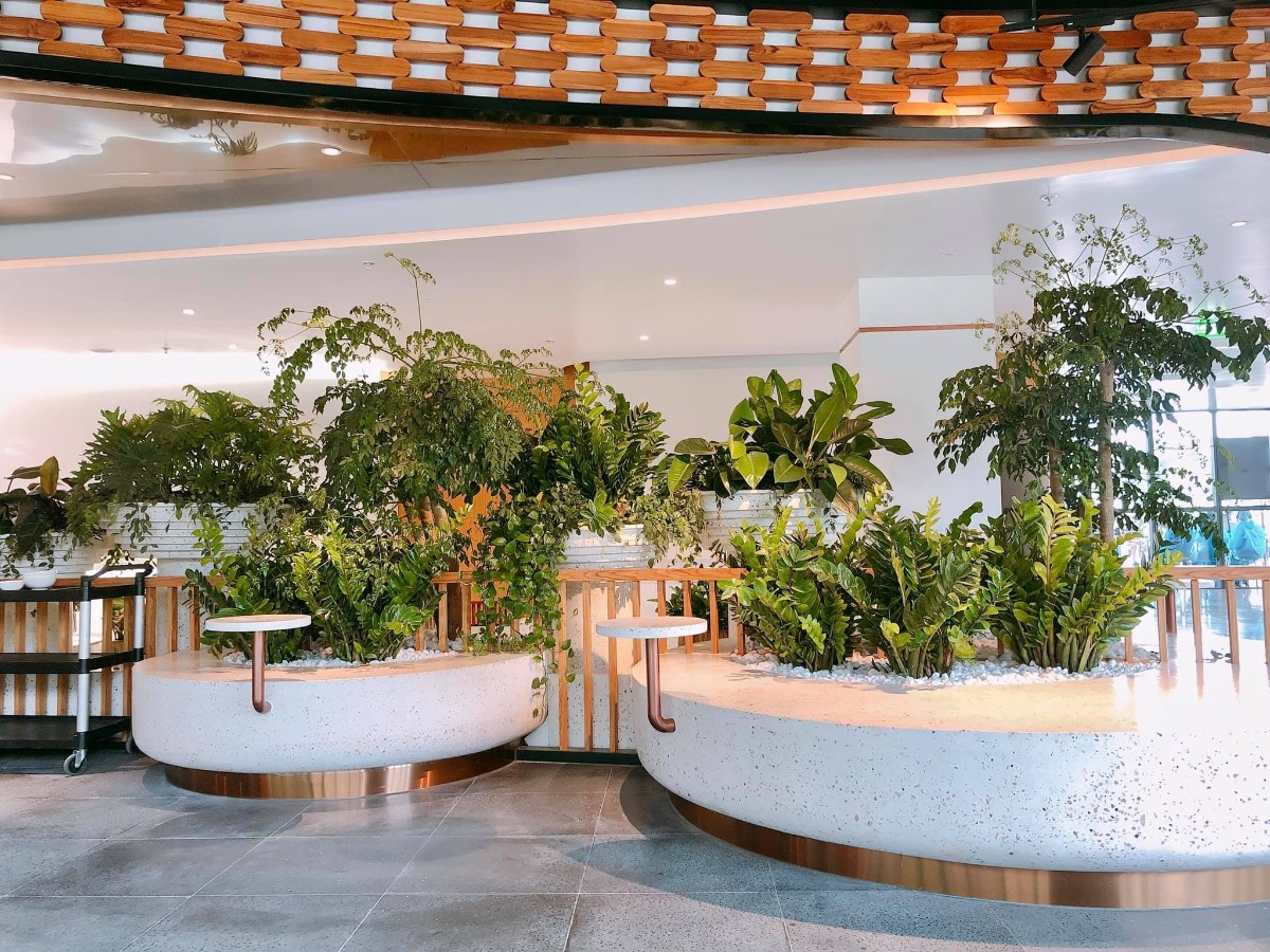 Trải nghiệm Bệnh viện đa khoa Hồng Ngọc Phúc Trường Minh ☺️
...
- Bước đến cổng có bảo vệ đỡ xuống xe và đo nhiệt độ
- Sau đó vào khu test nhanh covid và khử khuẩn, hết khoảng 30p
- Tiếp theo có các bạn nhân viên hướng dẫn và dắt các mẹ bầu đi từng phòng: khám - xét nghiệm nước tiểu - xét nghiệm máu- siêu âm - chạy máy
- Thời gian chờ kết quả xét nghiệm khá lâu (khoảng 1-1,5 tiếng). Trong thời gian này có thể xuống dưới tầng 1 ăn nhẹ, uống nước miễn phí ạ - lúc vào khám mỗi mom được phát 1 phiếu ăn free nha
- Khi có kết quả xét nghiệm, chạy máy đầy đủ thì sẽ đi khám với bác sỹ gây mê, đi nghe kết luận của bác sỹ sản và lên lịch hẹn cho lần sau
- Cuối cùng nếu các mẹ có nhu cầu thì sẽ có 1 bạn nhân viên tư vấn dẫn đi thăm quan và giới thiệu các khu bệnh viện nhé 😂
- Em update thêm ảnh các phòng VIP, phòng riêng, phòng tiêu chuẩn nhé.