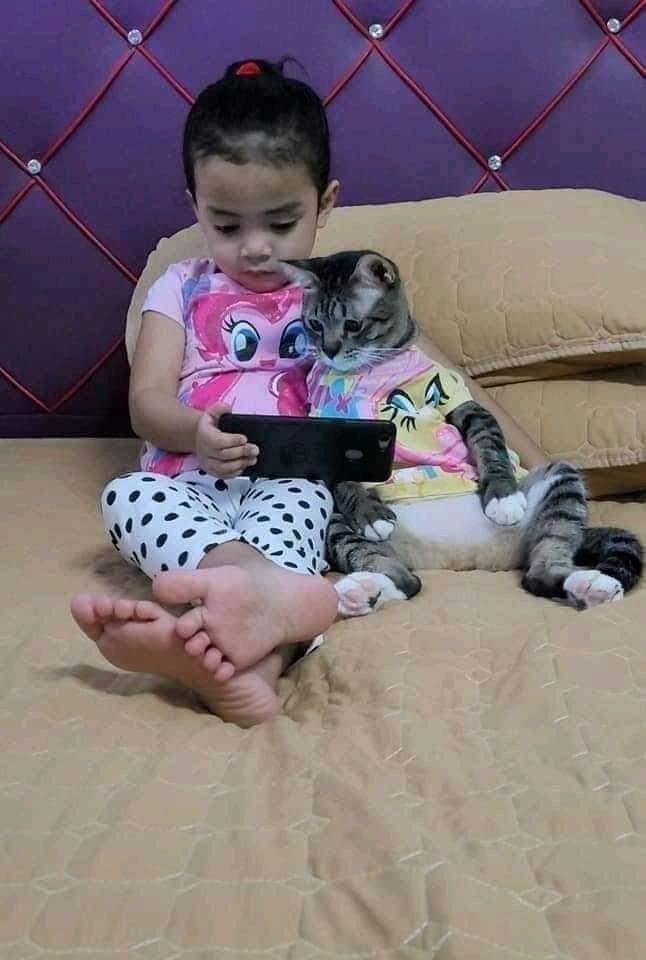 Bố mẹ cho con chăm mèo để bớt xem điện thoại 🙂
Ai ngờ đâu...