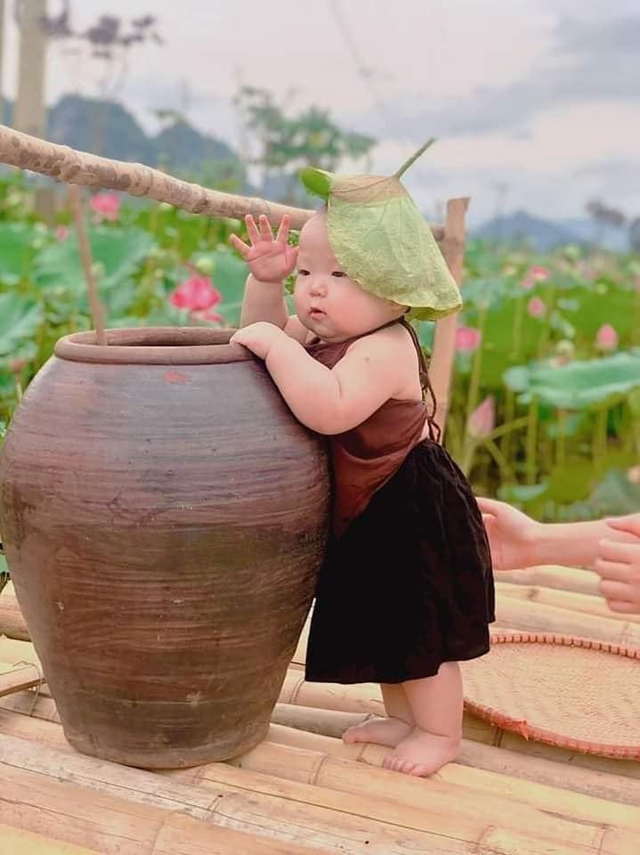 Trong đầm gì đẹp bằng sen
Lá xanh bông trắng lại chen một nàng 😘