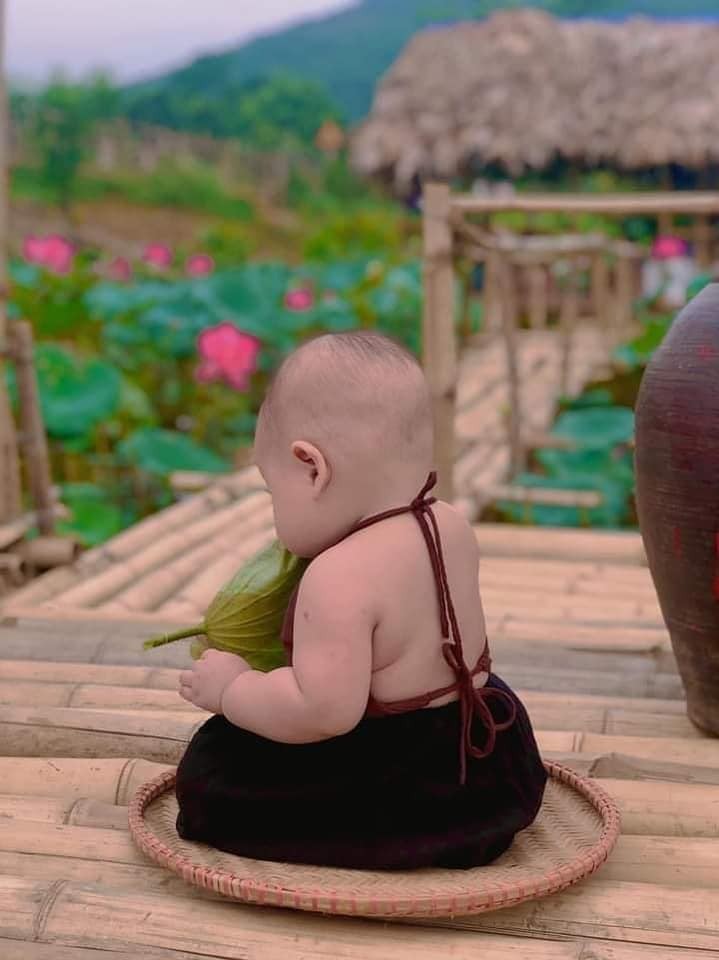 Trong đầm gì đẹp bằng sen
Lá xanh bông trắng lại chen một nàng 😘