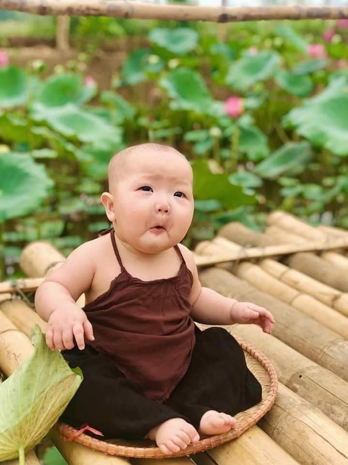 Trong đầm gì đẹp bằng sen
Lá xanh bông trắng lại chen một nàng 😘