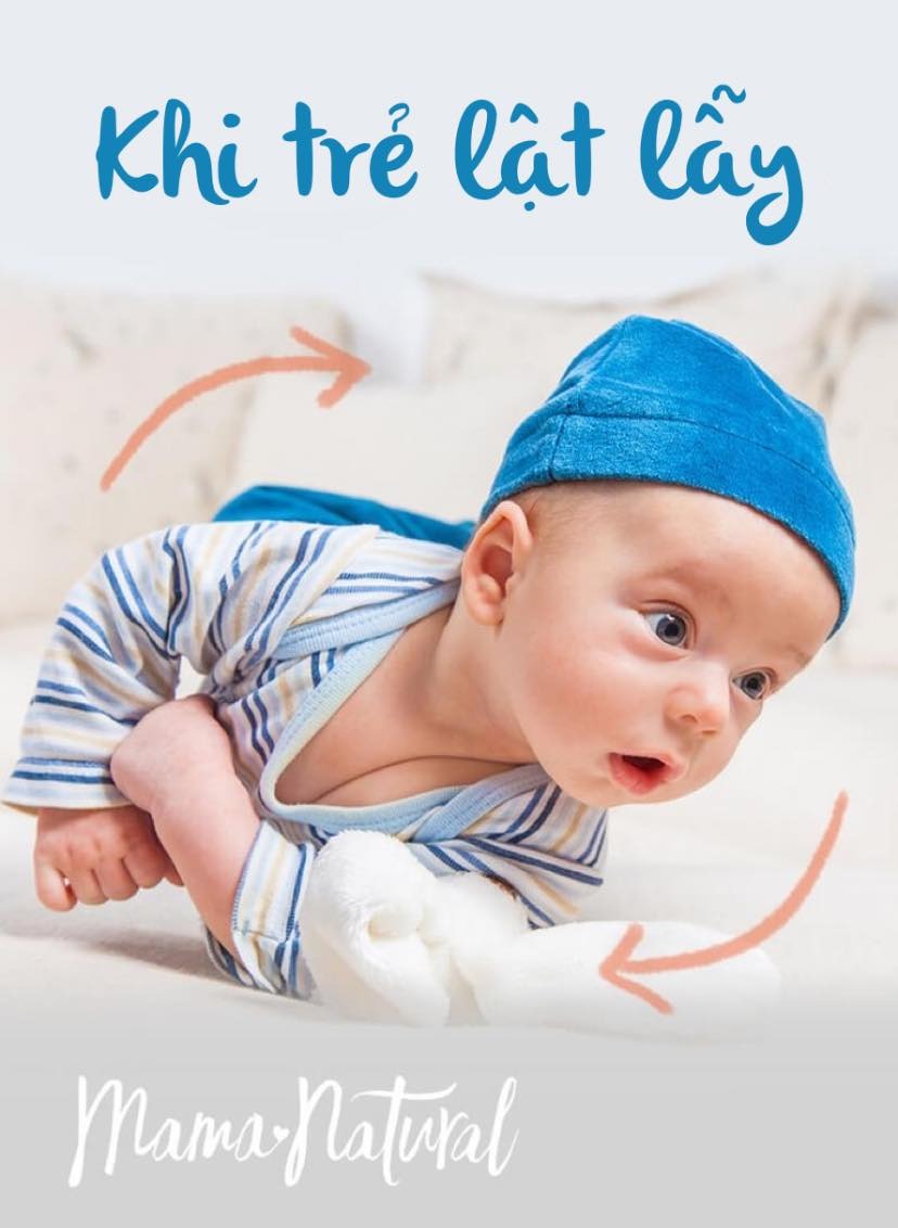 KHI TRẺ LẪY

Giai đoạn di động đầu tiên của bé con chính là lật lẫy. Đây chính là một trong những cột mốc đáng kể ở trẻ sơ sinh, và cũng là khoảnh khắc vô cùng đáng nhớ của bố mẹ khi thấy con mình bước đầu có thể tự di chuyển. Và từ đây sẽ dẫn tới tự ngồi thẳng, đi, bò và di chuyển xung quanh.

Để lật được cơ thể bé bỏng của con là cả một nỗ lực to lớn. Con cần cổ đủ cứng, điều khiển đầu thật xịn và những múi cơ mạnh mẽ từ cánh tay kết hợp bởi đây chính là lần đầu em bé sơ sinh có thể dùng nhiều loạt cơ để di chuyển.

❓ Khi nào thì con sẽ lật lẫy?
Việc lật lẫy của con sẽ bắt đầu từ việc tự nằm chơi khi úp bụng xuống mặt phẳng (tummy time). Đây là lúc con nằm trên bụng mình, dùng tay để nâng đầu và vai lên khỏi sàn nhà. Cách này giúp cơ bắp ở đầu, cổ và thân trên trở nên mạnh mẽ hơn. Một khi con đã có đủ lực để nâng đầu lên, con sẽ bắt đầu lật.
Con cũng có thể chuyển đổi giữa việc nằm trên lưng qua nằm trên bụng và ngược lại. Bé con sẽ bắt đầu việc lật từ bụng qua lưng và sau đó là lưng qua bụng sau đó một tháng. Điều này là bởi chuỗi hành động sau yêu cầu nhiều sức mạnh cơ bắp và hoạt động phối hợp hơn. Con có thể bắt đầu lật lẫy từ bụng qua lưng ở khoảng 2 tới 5 tháng tuổi, từ lưng qua cạnh sườn ở khoảng 4 tới 5 tháng rưỡi, và lẫy từ lưng về bụng từ khoảng 5 tháng rưỡi tới 7 tháng rưỡi.
Nhưng kể từ khoảng 2 tới 5 tháng tuổi, con đã gom được đủ sức mạnh cho phần thân trên cơ thể và sử dụng cánh tay để đẩy mình từ bụng ra mặt lưng. Ở 7 tháng tuổi, con không chỉ có thể lật bụng ra lưng xịn xò mà cũng có thể lẫy nhanh nhẹn từ lưng ra bụng.

🌻 Bé con thường lật lẫy mà chẳng có bất kỳ dấu hiệu nào báo trước. Bởi vậy, bố mẹ đừng bao giờ rời sự chú ý khỏi con khi con đang nằm trên giường hay bất kỳ nơi nào cao dễ gây nguy hiểm. Đôi khi chỉ cần một giây là con đã lật người và có thể dẫn tới rơi ngã. Bởi vậy, hãy đặt con nằm trên sàn khi con bắt đầu có dấu hiệu muốn lật lẫy vặn mình.

❓ Con sẽ học lật người như thế nào?

✔Khi một tháng tuổi:
• Có thể nhấc đầu lên cao một chút xíu.
• Có thể quay đầu qua 2 bên khi nằm ngửa.
Khi hai tháng tuổi:
• Có thể giữ đầu ngẩng cao và bắt đầu “chống đẩy” khi nằm úp.
• Sử dụng tay và chân mượt mà hơn.
• Đầu có thể đu đưa về phía trước khi được bế ngồi.

✔Khi ba tháng tuổi:
• Có thể chịu được một chút trọng lượng cơ thể khi đứng trên cả hai chân.
• Có thể điều khiển đầu ngẩng cao khi ngồi, tuy nhiên con vẫn sẽ hơi chúi đầu về phía trước.
• Có thể ngẩng đầu và vai từ 45 tới 90 độ khi nằm ngửa.
• Có thể dùng tay cầm nắm vài đồ vật có trọng lượng.

✔Khi bốn tháng tuổi:
• Có thể điều khiển đầu tốt.
• Có thể chịu được một phần trọng lượng cơ thể khi được giữ
đứng trên chân.
• Có thể ngẩng đầu và vai 90 độ.
• Lật người từ lưng sang cạnh sườn. Khi năm tháng tuổi:
• Có thể giữ đầu thẳng khi ngồi.
• Lật người từ bụng về lưng.

✔Khi sáu tháng tuổi:
• Có thể nâng ngực và một phần bụng khi nằm úp.
• Có thể ngẩng đầu khi ngồi.
• Lẫy từ lưng về bụng.

❓ Làm sao để dạy con lật lẫy?
Nếu em bé của bạn đã bắt đầu quen với việc nằm trên sàn nhà và bắt đầu muốn dịch chuyển, bố mẹ có thể giúp con lật người. Những bước dưới đây có thể giúp bạn dạy con tự di chuyển độc lập lần đầu tiên.
➖Bước 1:
Đặt con nằm trên sàn khi tới giờ tập tummy time. Điều này sẽ giúp con thoải mái vì con sử dụng cơ cổ để giữ đầu thẳng cao.
➖Bước 2:
Đặt con trên một tấm chăn, nửa người bên trái nằm trên cạnh chăn bên trái. Để con thoải mái với tư thế này và đảm bảo con giữ cổ cao trong một vài giây. Nếu con chưa làm được thì đó là dấu hiệu con chưa sẵn sàng.
➖Bước 3:
Giữ một món đồ chơi hơi xa khỏi tầm với của con một chút. Thử lắc và chơi với nó trước khi đặt đồ chơi xuống sàn nhà. Và giờ hãy xem liệu con có cố gắng với lấy hay không. Con có thể sẽ xoải tay ra với và tư thế mới sẽ khiến con thấy khó chịu.
➖Bước 4:
Khi con cố với lấy đồ chơi, nhấc viền chăn lên một chút (không quá 3 phân) để nửa bên phải của cơ thể con sẽ bị nhấc lên. Nếu con khó chịu với tư thế này, thử hạ con xuống và dỗ dành con. Bố mẹ cần đảm bảo đây là trải nghiệm vui vẻ của con nhé.
➖Bước 5:
Giữ một tay trên bụng con và thử nhấc viền chăn một lần nữa. Để con nằm vững vàng trên tay và nhấc con lên. Nhấc chăn cho tới khi con có thể lật người ra tư thế ngửa lưng. Đảm bảo con có thể với được đồ chơi trong tư thế mà con bắt buộc phải lật mới di chuyển được. Lặp lại trò chơi với chăn hàng ngày cho tới khi con đủ thoải mái để tự lật.

Một số em bé thật sự không thích tummy time chút nào. Nếu con quấy khóc, hãy chờ cho tới khi con bình tĩnh lại rồi mới thử giúp con lật.

📌 Những mẹo giúp con học lật lẫy

Bố mẹ nên hiểu rõ những thay đổi sẽ diễn ra ở mỗi giai đoạn trước khi khiến con thực hành những hoạt động đó.
• Để em bé sơ sinh tập nằm úp ngay từ những ngày đầu tiên
bởi nó giúp phát triển các cơ bắp quan trọng để có thể lật lẫy. Nó cũng cho phép con cử động tay và chân cũng như tăng cường sức mạnh cổ gáy.
• Ban đầu con có thể không thích nằm úp bởi đây là một tư thế lạ lẫm. Khi con qua tháng thứ hai, bố mẹ có thể thử đặt con nằm úp trong khoảng một phút. Bạn cũng được phép cho con nằm sấp trên ngực như một cách thay thế cho tới khi con quen dần.
• Bố mẹ cũng có thể cùng nằm trên sàn nhà cùng con và chơi đùa vài món đồ chơi. Ở mốc 3 tháng, khi bạn đặt con nằm sấp, con sẽ nhấc đầu và vai bằng cánh tay mình. Hành động chống đẩy nho nhỏ này sẽ cho con đủ sức mạnh để lật lẫy, và bố mẹ sẽ kinh ngạc khi con tự lẫy từ lưng ra bụng và ngược lại.
• Bạn nên khuyến khích bé con tự chống đẩy bằng cách giữ một món đồ chơi cách phía trên đầu con một chút. Điều này tự động giúp con cố gắng vươn người để với tay nhận đồ chơi.
• Loanh quanh 5 tới 7 tháng tuổi, con đã có thể nhấc đầu cao, chống tay và ngửa người để nhấc ngực lên khỏi sàn nhà.
• Bố mẹ nên khuyến khích con cố gắng làm mọi hoạt động trên để tăng cường sức mạnh cơ bắp và học cách lật lẫy từ mọi phương hướng.
• Khi bạn đặt con nằm sấp, thử lật con từ một bên và khích lệ tự con lẫy lại.
• Đưa con một món đồ chơi, một cái gương hay bất kỳ vật gì an toàn khi con nằm nghiêng. Nếu con không thể giữ được tư tế đó, bố mẹ có thể hỗ trợ con.
• Khiến con xoay người với cả thân trên và thân dưới.
• Giữ bé con trong địu ở tư thế cong chân như con ếch thay vì cứ xoãi chân ra.
• Bế con ở tư thế ôm chặt vào lòng khi cùng con ra ngoài. Bố mẹ cũng có thể vừa đu đưa vừa bế con.
• Không để con tự chơi quá lâu với bất kỳ món dụng cụ dành cho trẻ sơ sinh nào: ghế rung, xe tròn... Những đồ vật này sẽ hạn chế con không thể thực hành kỹ năng vận động. Cứ để con chơi ở không gian mở với các hoạt động khác nhau.
• Dành một khoảng thời gian trong ngày đủ để thực hành nằm sấp bởi hầu hết mọi kỹ năng vận động đều phát triển từ đây. Con cần tăng cường sức mạnh của cổ và cơ bắp vai để chống lại trọng lực.
• Cho con một khoảng thời gian nghỉ ngơi ở tư thế nằm ngửa, chân gập lại để cân bằng. Con cũng có thể nằm ngửa trên đùi mẹ để gập cơ đầu gối, cơ dọc thân và cơ hông.
• Không để con duy trì một tư thế quá lâu. Hãy thử thay đổi tư thế cho con sau mỗi 15 phút, để con được tiếp xúc với mọi tư thế khác nhau tham gia vào việc lật lẫy.
• Khuyến khích con chơi ở tư thế giữa đường kẻ đối với những hoạt động xung quanh “đường kẻ vô hình” ở trung tâm cơ thể. Khả năng lật lẫy sẽ dựa trên khả năng di chuyển vượt qua đường thẳng đó.
Làm thế nào để khuyến khích con tự lật lẫy?
Bố mẹ có thể chơi cùng con để khuyến khích con bắt đầu lật lẫy.
• Vung vẩy đồ chơi của con để con cố gắng tiến lại gần nó.
• Dùng món đồ chơi mà con thích nhất.
• Nằm bên cạnh con để con cố tiến lại gần bố mẹ.
• Nếu con cố với lấy đồ chơi hay bố mẹ, hãy cổ vũ con bằng cách làm con cười. Con có thể sẽ thấy phấn khởi hơn và cố gắng lật người thêm.
• Cổ vũ con lật lẫy cả hai bên để giúp phát triển cơ bắp cân bằng.

Cha mẹ có kỉ niệm gì khi con lẫy lần đầu tiên không? Hãy cùng chia sẻ với NCKPLCC nhé 😘

Nguồn: NCKPLCC dịch.