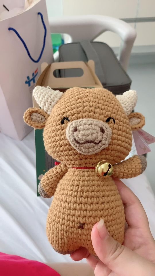 Trải qua 2 lần sinh và đều lựa chọn Việt Pháp là nơi chào đón các bạn nhỏ, nên hôm nay mình ngoi lên review về viện cho mẹ nào còn đang lăn tăn lựa chọn nhé 😉

Hồi sinh Mimi, từ 6-7w là mình đã đi khám qua kha khá bệnh viện để lựa chọn theo dõi, và khi bước chân vào VP, thì đúng như câu yêu ngay từ cái nhìn đầu tiên 😆 thiện cảm từ bảo vệ đến bác sĩ, ai ai cũng đều nhiệt tình, vui vẻ. Lúc đó viện mới chuyển sang toà nhà mới nên cái gì nhìn cũng sạch đẹp xịn xò. Nên chốt luôn không suy nghĩ. 

Đến lúc bầu Đô Đô được 6w, mình cũng lại vào viện khám. Và đáng yêu hơn là mình được khám miễn phí lần đó (mặc dù lúc đó chưa mua gói) ❤️

Cả 2 lần bầu mình đều đăng ký gói theo dõi từ 12w, và đều được khám sớm từ 7-8w. Và cả 2 lần mình đều theo bác sĩ Nghị siêu nhẹ nhàng & tình cảm. Lần nào siêu âm xong cũng được bác lau hộ gel siêu âm. Bởi lẽ với 1 bà bầu bụng to chềnh ềnh, lau hết đống gel đấy khá khó khăn, nên lúc nào cũng được bác làm giúp. Ngoài ra mình thấy các bsi ở VP cực biết ý khi siêu âm cho sản phụ, các bác sẽ chỉ để đèn phía gần cửa ra vào và kéo rèm che để trong phòng chỉ hơi mờ mờ, cho sản phụ đỡ ngại ngùng ☺️

Trong cả quá trình theo dõi thai, bất kỳ lúc nào mình k yên tâm hoặc có vấn đề gì khác lạ, mình đều đặt lịch khám thêm ngoài lịch hẹn với bsi, và 1-2 lần khám cấp cứu, và đều không bị phát sinh chi phí gì.
Hôm sinh, thật ra cũng chỉ là 1 lần đến khám ngoài giờ cho yên tâm, vì cả 2 bạn mình đều có cơn gò từ khá sớm. Trên đường ra viện còn lỡ mồm hỏi chồng nhỡ nay đẻ luôn thì sao nhỉ. Và y như rằng, vào khám cơn gò đã dầy, bsi yêu cầu mổ luôn 🤣🤣, vậy là chẳng kịp xem ngày xem giờ gì hết 😂 

Sau đó mình được đưa về phòng, vì là thời điểm dịch nên viện sắp xếp mỗi sản phụ một phòng, nên mặc dù là phòng đôi, nhưng cũng chỉ có mình mình ở, rộng thênh thang. Mình được phát áo mổ & đi tắm sát khuẩn. Trong viện đã chuẩn bị đầy đủ đồ vệ sinh cá nhân từ bàn chải, dầu gội, sữa tắm,... đến bỉm mẹ bỉm con, bvs,... nên các bạn chẳng phải mang gì ngoài cái bụng bầu và một tâm hồn đẹp cả 😆

Nghe đồn phòng mổ VP đẹp lắm, như phim hàn xẻng. Nhưng với đứa cận lòi như mình, mặc dù vào đến 2 lần, nhg đều chẳng chiêm ngưỡng được độ đẹp của nó 😢 chỉ thấy mờ mờ là ờ, cũng sáng đó, rộng đó, còn lại chả rõ cái moẹ gì. Phòng mổ vô trùng nên rất lạnh nhé, nhưng yên tâm ở VP các bạn sẽ được đắp chăn ấm, và được luồn ống sưởi vào chăn ạ. Các bác sĩ y tá phòng mổ cũng rất vui vẻ, vừa làm vừa buôn đủ thứ chuyện với mình, cho mình đỡ căng thẳng. Gây tê thì cực nhẹ nhàng, mình chỉ bị nhói 1 cái lúc chọc kim thôi. Sau đó là nửa thân dưới bắt đầu tê và mất cảm giác. Lần này mình mổ cấp cứu bác Hằng. Ban đầu mình cũng định gọi bác Nghị mà mình theo dõi từ đầu mổ cho mình, nhg nghe được y tá bảo bác mới trực cả đêm qua với hôm nay, nên lúc đó mình lại thôi. Nhưng bác Hằng mổ cũng khá ok, trừ việc lúc khâu bác để thành 2 đoạn chỉ, làm hôm đi rút chỉ mình khá đau, mà còn phải chịu tận 2 lần 😢

Sau khi bác sĩ vào thì bắt đầu mổ, mình được chắn tấm chắn ở trc mặt nên chẳng nhìn thấy gì, chỉ nghe tiếng dao, tiếng hút, rồi bắt đầu lôi lôi kéo kéo 1 lúc thì bỗng nhẹ bẫng cả bụng, tiếng thằng con ré lên. Cuối cùng cũng xong 😌

Em bé được hút dịch, lau gây rồi được hộ sinh bế ra cho mẹ nhìn mặt. Nhưng khổ nỗi con mẹ cận lòi, chưa nhìn rõ mặt con, các cô đã bế đi chăm sóc sơ sinh luôn rồi 😂 Sau khi bé được vệ sinh, kiểm tra thì được đẩy về phòng gặp bố. Nhưng do dịch nên bố không được bế em, không được tiếp da, chỉ được nhìn 1 lát là bị các cô mời về. Còn em bé sẽ được đưa về phòng sơ sinh nằm lồng.

Sau khi đưa em bé ra, việc còn lại là vệ sinh & khâu, mất khoảng 1 tiếng thì mình được đẩy về hậu phẫu theo dõi 2 tiếng. Vì mình mổ nửa đêm nên lúc mổ mình buồn ngủ lắm luôn, vừa nằm mổ vừa ngủ gật mất mấy lần 🤣 nhg đến lúc về hậu phẫu thì lại mong ngóng con chẳng ngủ được. Đến 2h sáng thì mình được về phòng, tiếp da và cho con ti mẹ. Trong đêm đầu tiên đấy, khoảng 30p-1 tiếng hộ sinh lại vào để kiểm tra sản dịch, huyết áp và truyền thuốc.

Và mặc dù sinh mổ nhưng mình k hề đau. Nghe mng bảo mổ lần 2 đau hơn lần 1 nhưng cá nhân mình thấy cả 2 lần đều k đau, lần 2 mình còn cảm thấy k đau bằng lần 1. Sau khi rút ống thông tiểu là mình đi lại đc rồi, chỉ có lúc mới đi đấy thì hơi đau chút, còn sau đó thì đi lại phăm phăm, đứng lên ngồi xuống cũng khá nhẹ nhàng. Ở VP mới có tiêm giảm đau cơ vuông khi mổ, nhg mình không dky ạ.

4 ngày lưu viện, mặc dù ở 1 mình và người nhà không được vào, nhưng mọi việc đều được các chị hộ sinh chăm sóc cẩn thận. Bất kì việc gì đều có thể gọi nhờ các chị, từ chị ơi, đỡ em vào phòng tắm, đến chị ơi, thay bỉm cho bé hộ em, lấy cho em bình sữa cho bé, trông bé giúp em,...

Ở VP,  các bé được ưu tiên sữa mẹ hơn cả. Các mẹ được khuyến khích kích sữa và chờ cho con ti sữa non. Nếu gửi bé cho các cô chăm, các cô đều sẽ hỏi bé ti mẹ hay ti sct, nếu bé khóc đòi ăn thì các cô sẽ đưa về cho bé ti mẹ. Mẹ còn được hướng dẫn cách massage gọi sữa, chỉnh khớp ngậm cho bé, hướng dẫn cách tắm & vệ sinh cho bé.

Ngoài ra ở VP còn có phòng hút sữa cực xịn xò, đầy đủ từ máy hút sữa, đèn hồng ngoại, máy tiệt trùng uv, máy hâm sữa đến máy rửa bình, tủ trữ sữa mẹ. Nhờ mấy ngày ở viện tích cực chiếu đèn hồng ngoại và kích sữa, trộm vía sữa về nhanh hơn nhiều. 

Hôm ra viện, mọi thủ tục ra viện đều được các chị lễ tân làm từ a-z, hoàn thiện thủ tục mình chỉ việc ra ký giấy tờ và có thể xuất viện về nhà. Do dịch nên khi xuất viện người nhà cũng chỉ được đỗ xe dưới sảnh đón, nên mình sẽ được ngồi xe đẩy và đưa xuống tận xe. 

Về chi phí sinh ở VP, thì mình đky gói theo dõi từ 12w sinh thường là 46tr900, mình được giảm 3tr là còn 43tr900. Tuy nhiên mình là đẻ mổ nên hôm nhập viện phải thanh toán thêm 15tr300. Ngoài ra phát sinh thêm 1 số chi phí thuốc cho mẹ và 2 mũi tiêm lao, vgb cho bé, tổng phát sinh thêm khoảng 5triệu. 

Trước bầu mình có mua bảo hiểm thai sản, được thanh toán khá nhiều ~ 43triệu. Nên tính ra khá là lợi 😇

Túm lại, trải nghiệm 2 lần sinh tại VP thật sự là xứng đáng. Nhg hy vọng sẽ không có lần thứ 3 🤣🤣🤣