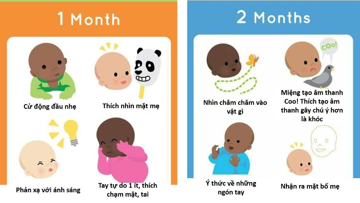 NHỮNG CỘT MỐC PHÁT TRIỂN QUAN TRỌNG GIAI ĐOẠN 0-3 TUỔI CỦA TRẺ
Bạn biết không? Nhìn một đứa chỉ nằm chơi và bi bô như vậy nhưng thực ra ngay từ khi mới sinh trẻ đã bắt đầu 1 chương trình học và phát triển rất nhanh, và có sự phân bố logic để các kỹ năng được phát triển. Như, giai đoạn trước 12 tháng trẻ tập phát triển các kỹ năng cơ bản cho bản thân, giai đoạn sau đó trẻ tập trung phát triển các hành vi giao tiếp xã hội. Việc hiểu, nhận biết và theo sát trẻ trên từng cung đường của bố mẹ là cách để giúp trẻ phát triển đúng hướng và bạn cũng sẽ nhận ra đó thật sự là một điều kì diệu.
Hầu như tất cả các bé đều sẽ trải qua 5 kỹ năng lớn sẽ phát triển bao gồm: Lật, Ngồi, Bò, Đứng và Đi trong 12 tháng đầu đời. 
Trong đó,
* LẬT: Là hoạt động sử dụng tốt các cơ lớn, gồm cả cơ cổ.
Để hỗ trợ bé việc phát triển cơ để tạo bước chuyển để lật, cha mẹ được khuyên cho bé nằm sấp lúc chơi đùa và khi bé còn thức.
* NGỒI: Bé sẽ phát triển kỹ năng này trong khoảng 4-8 tháng tuổi, thường 8 tháng tuổi bé có thể ngồi vững mà không cần hỗ trợ.
Ngồi là dấu hiệu của việc cần thay đổi cấu trúc thức ăn của trẻ từ dạng lỏng của uống sữa sang dạng ăn dặm. Do đó, ngồi cũng là dấu hiệu cho thấy hệ tiêu hóa của bé thích hợp có thể bắt đầu ăn dặm.
* BÒ: Là một kỹ năng lớn chuyển tiếp từ trạng thái ít vận động sang vận động nhiều hơn, xa hơn. Trẻ phải phối hợp các cơ lưng, tay và chân để di chuyển, đồng thời phát triển nhận thức không gian để giữ trẻ di chuyển mà không va chạm. Nếu bạn quan sát thì mỗi ngày trẻ phát triển dần khả năng nhận biết không gian, đến một thời điểm trẻ có thể bò khắp nhà mà không va chạm và cũng có thể bò lên cầu thang.
* ĐỨNG VỊN: Để bé có thể sử dụng đôi chân làm trụ và kéo người thẳng là một bước chuyển không nhỏ. Trẻ học dần điều này từ 9 tháng tuổi. Khi 10 tháng tuổi, với sự hổ trợ của cha mẹ, bé có thể vịn di chuyển dọc theo đồ vật.
* ĐI: Từ 9 tháng -15 tháng tuổi, việc trẻ học cách đứng và di chuyển sẽ thuần phục dần
Chi tiết về các cột mốc phát triển trong 12 tháng đầu đời bạn có thể tham khảo ở hình đính kèm.
NHỮNG ĐIỀU TRẺ SẼ PHÁT TRIỂN Ở NHỮNG THÁNG TIẾP THEO
Sau 12 tháng, trẻ có thể vận động và nhận thức tốt hơn. Do đó, trẻ sẽ bắt đầu hướng sự phát triển về phía giao tiếp và hoạt động cùng cha mẹ và bạn bè. Đây là những cột mốc quan trọng 
* TẠI 18 THÁNG TUỔI 
Trẻ có thể:
+ Biết chỉ vào những điều có trên trang sách, có thể nói 1-2 từ đơn giản.
+ Nhận biết những đồ vật quen thuộc hay dùng
+Viết nguệc ngoạc
+Bước chân cao như lên bậc thang 
* TẠI 24 THÁNG TUỔI
Trẻ có thể:
+Biết cách chơi cùng với bố mẹ hoặc bé khác
+Sử dụng câu 2-4 từ
+Biết những bộ phận quen thuộc của cơ thể
+Bắt đầu phát triển niềm tin và hiểu được hướng dẫn đơn giản dưới 3 bước. Do đó, lúc này trẻ có thể hiểu luật chơi và tuân thủ tốt nếu chúng ta cho trẻ biết rõ ràng từng bước. 
+Hiểu được sự khéo léo trong di chuyển như đi thẳng theo đường vạch có thể vẫn loạng choạng. Nhưng, xuống hay lên dốc biết kìm chân. 
* TẠI 36 THÁNG TUỔI
Trẻ có thể:
+ Bắt chước hành động của ai đó. VD đi khòm lưng giống bà
+ Nói để bạn hiểu, nhưng từ vẫn ngọng ngịu và sử dụng nhiều câu ngắn gọn
+Xếp hình 4 miếng
+Chạy chơi một cách dễ dàng