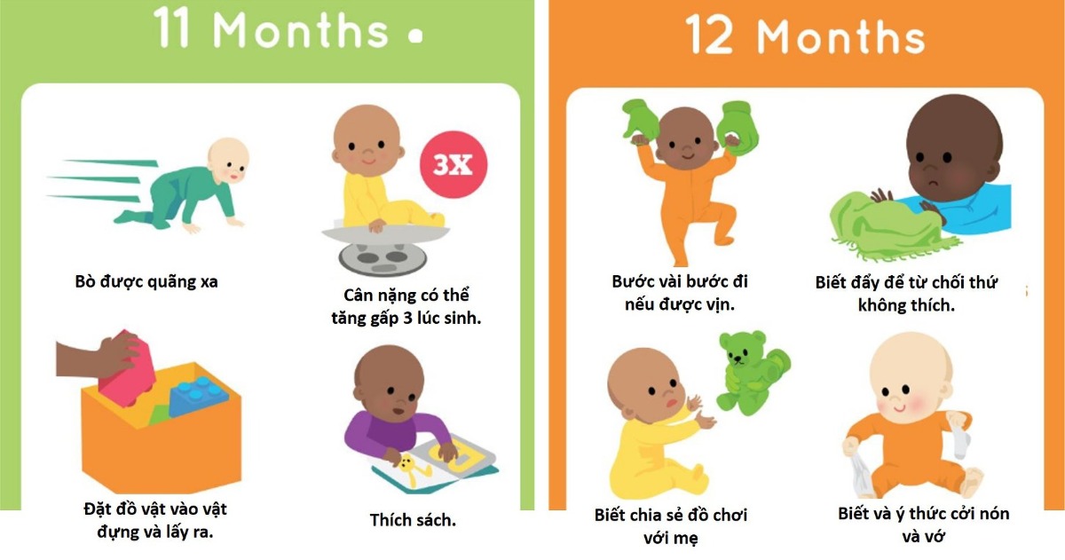 NHỮNG CỘT MỐC PHÁT TRIỂN QUAN TRỌNG GIAI ĐOẠN 0-3 TUỔI CỦA TRẺ
Bạn biết không? Nhìn một đứa chỉ nằm chơi và bi bô như vậy nhưng thực ra ngay từ khi mới sinh trẻ đã bắt đầu 1 chương trình học và phát triển rất nhanh, và có sự phân bố logic để các kỹ năng được phát triển. Như, giai đoạn trước 12 tháng trẻ tập phát triển các kỹ năng cơ bản cho bản thân, giai đoạn sau đó trẻ tập trung phát triển các hành vi giao tiếp xã hội. Việc hiểu, nhận biết và theo sát trẻ trên từng cung đường của bố mẹ là cách để giúp trẻ phát triển đúng hướng và bạn cũng sẽ nhận ra đó thật sự là một điều kì diệu.
Hầu như tất cả các bé đều sẽ trải qua 5 kỹ năng lớn sẽ phát triển bao gồm: Lật, Ngồi, Bò, Đứng và Đi trong 12 tháng đầu đời. 
Trong đó,
* LẬT: Là hoạt động sử dụng tốt các cơ lớn, gồm cả cơ cổ.
Để hỗ trợ bé việc phát triển cơ để tạo bước chuyển để lật, cha mẹ được khuyên cho bé nằm sấp lúc chơi đùa và khi bé còn thức.
* NGỒI: Bé sẽ phát triển kỹ năng này trong khoảng 4-8 tháng tuổi, thường 8 tháng tuổi bé có thể ngồi vững mà không cần hỗ trợ.
Ngồi là dấu hiệu của việc cần thay đổi cấu trúc thức ăn của trẻ từ dạng lỏng của uống sữa sang dạng ăn dặm. Do đó, ngồi cũng là dấu hiệu cho thấy hệ tiêu hóa của bé thích hợp có thể bắt đầu ăn dặm.
* BÒ: Là một kỹ năng lớn chuyển tiếp từ trạng thái ít vận động sang vận động nhiều hơn, xa hơn. Trẻ phải phối hợp các cơ lưng, tay và chân để di chuyển, đồng thời phát triển nhận thức không gian để giữ trẻ di chuyển mà không va chạm. Nếu bạn quan sát thì mỗi ngày trẻ phát triển dần khả năng nhận biết không gian, đến một thời điểm trẻ có thể bò khắp nhà mà không va chạm và cũng có thể bò lên cầu thang.
* ĐỨNG VỊN: Để bé có thể sử dụng đôi chân làm trụ và kéo người thẳng là một bước chuyển không nhỏ. Trẻ học dần điều này từ 9 tháng tuổi. Khi 10 tháng tuổi, với sự hổ trợ của cha mẹ, bé có thể vịn di chuyển dọc theo đồ vật.
* ĐI: Từ 9 tháng -15 tháng tuổi, việc trẻ học cách đứng và di chuyển sẽ thuần phục dần
Chi tiết về các cột mốc phát triển trong 12 tháng đầu đời bạn có thể tham khảo ở hình đính kèm.
NHỮNG ĐIỀU TRẺ SẼ PHÁT TRIỂN Ở NHỮNG THÁNG TIẾP THEO
Sau 12 tháng, trẻ có thể vận động và nhận thức tốt hơn. Do đó, trẻ sẽ bắt đầu hướng sự phát triển về phía giao tiếp và hoạt động cùng cha mẹ và bạn bè. Đây là những cột mốc quan trọng 
* TẠI 18 THÁNG TUỔI 
Trẻ có thể:
+ Biết chỉ vào những điều có trên trang sách, có thể nói 1-2 từ đơn giản.
+ Nhận biết những đồ vật quen thuộc hay dùng
+Viết nguệc ngoạc
+Bước chân cao như lên bậc thang 
* TẠI 24 THÁNG TUỔI
Trẻ có thể:
+Biết cách chơi cùng với bố mẹ hoặc bé khác
+Sử dụng câu 2-4 từ
+Biết những bộ phận quen thuộc của cơ thể
+Bắt đầu phát triển niềm tin và hiểu được hướng dẫn đơn giản dưới 3 bước. Do đó, lúc này trẻ có thể hiểu luật chơi và tuân thủ tốt nếu chúng ta cho trẻ biết rõ ràng từng bước. 
+Hiểu được sự khéo léo trong di chuyển như đi thẳng theo đường vạch có thể vẫn loạng choạng. Nhưng, xuống hay lên dốc biết kìm chân. 
* TẠI 36 THÁNG TUỔI
Trẻ có thể:
+ Bắt chước hành động của ai đó. VD đi khòm lưng giống bà
+ Nói để bạn hiểu, nhưng từ vẫn ngọng ngịu và sử dụng nhiều câu ngắn gọn
+Xếp hình 4 miếng
+Chạy chơi một cách dễ dàng