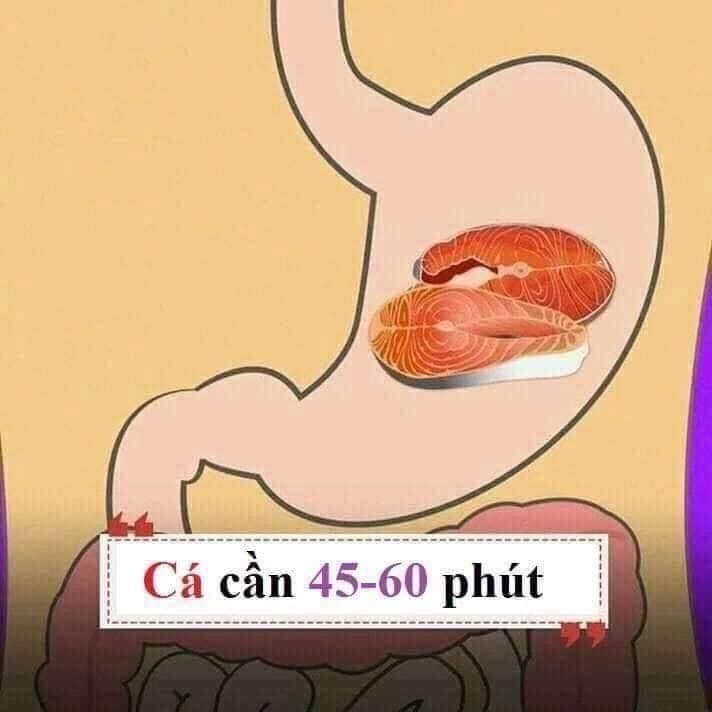 Hiểu được thời gian tiêu hóa của các loại thực phẩm thiết yếu để giúp đạt được cân nặng như ý nha chị em. 😊😊

1 số gợi ý nhỏ:
- Thực phẩm tiêu thụ nhanh bạn nên đưa vào buổi ăn nhẹ.
- Thực phẩm tiêu thụ vừa (tầm 30-90 phút) bạn nên đưa vào buổi ăn sáng và trưa.
- Thực phẩm tiêu thụ lâu (trên 120 phút) không nên đưa vào buổi tối, trước khi ngủ.