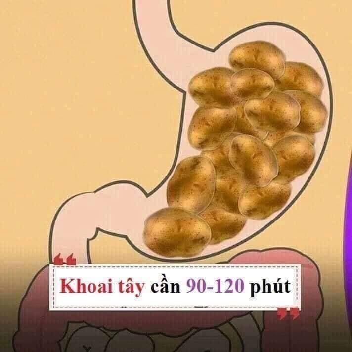 Hiểu được thời gian tiêu hóa của các loại thực phẩm thiết yếu để giúp đạt được cân nặng như ý nha chị em. 😊😊

1 số gợi ý nhỏ:
- Thực phẩm tiêu thụ nhanh bạn nên đưa vào buổi ăn nhẹ.
- Thực phẩm tiêu thụ vừa (tầm 30-90 phút) bạn nên đưa vào buổi ăn sáng và trưa.
- Thực phẩm tiêu thụ lâu (trên 120 phút) không nên đưa vào buổi tối, trước khi ngủ.
