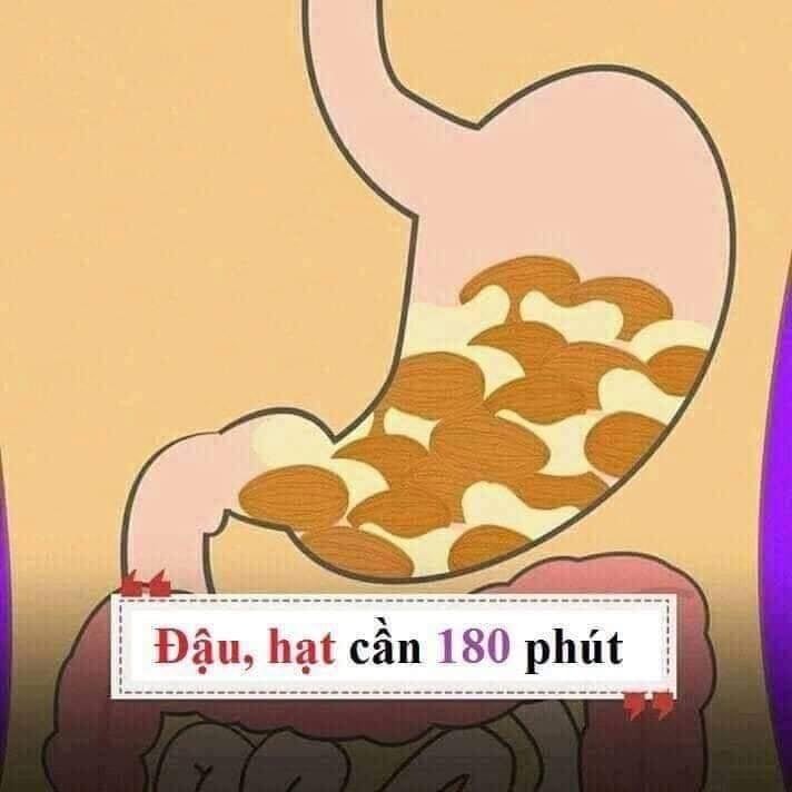 Hiểu được thời gian tiêu hóa của các loại thực phẩm thiết yếu để giúp đạt được cân nặng như ý nha chị em. 😊😊

1 số gợi ý nhỏ:
- Thực phẩm tiêu thụ nhanh bạn nên đưa vào buổi ăn nhẹ.
- Thực phẩm tiêu thụ vừa (tầm 30-90 phút) bạn nên đưa vào buổi ăn sáng và trưa.
- Thực phẩm tiêu thụ lâu (trên 120 phút) không nên đưa vào buổi tối, trước khi ngủ.