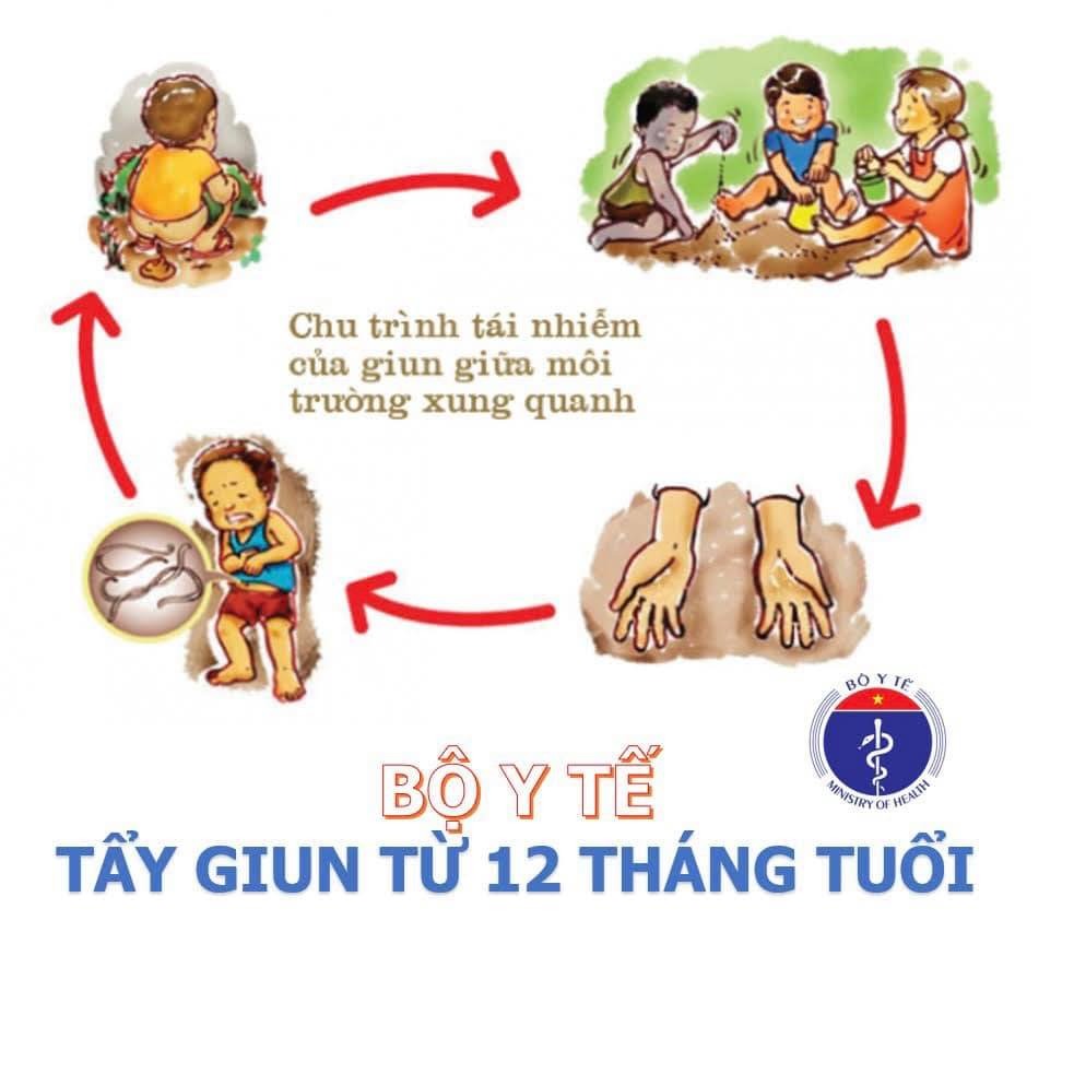 [FULL] - HƯỚNG DẪN BỘ Y TẾ TẨY GIUN CHO TRẺ NHỎ

Hiện nay có rất nhiều trẻ em nhiễm giun rất nặng dù 3-4 tuổi nhưng chưa một lần tẩy giun hoặc tranh cãi rất nhiều chuyện tẩy 12 tháng hay 24 tháng... Xin thưa là hơn 5 năm trước (2016), thì Bộ Y Tế đã ra quyết định đề nghị tẩy giun cho trẻ từ 12 tháng tuổi và tẩy giun uống bất kỳ thời điểm nào không cần trước ăn và sau ăn….

ĐỐI TƯỢNG
Chỉ định: Lứa tuổi từ 12 tháng tuổi trở lên.
Chống chỉ định:
- Người đang mắc bệnh cấp tính, đang sốt (>38,5° C).
- Người đang mắc một số bệnh mạn tính như: suy thận, suy tim, suy gan, đợt hen cấp .
- Người có tiền sử dị ứng với các thành phần của thuốc.
- Phụ nữ có thai trong 3 tháng đầu, phụ nữ đang cho con bú, trẻ em dưới 12 tháng tuổi.

TẦN SUẤT TẨY GIUN: tùy khu vực mà tẩy từ 2 – 4 lần/năm/

THUỐC SỬ DỤNG: Albendazole hoặc Mebendazole
1. Liều lượng:
- Trẻ em từ 12 tháng tuổi đến dưới 24 tháng tuổi: Albendazole 200mg hoặc Mebendazole 500mg liều duy nhất.
- Người từ 24 tháng tuổi trở lên: Albendazole 400mg hoặc Mebendazole 500mg liều duy nhất.

Dễ nhớ nhất là từ 12 tháng tuổi cứ uống Mebendazole 1 viên mỗi 3-6 tháng. Nhưng nếu bố mẹ lăn tăn một số thuốc ghi dùng cho trẻ từ 2 tuổi trở lên thì cứ dùng 1 viên Albedazole 200mg cho trẻ dưới 2 tuổi, sau 2 tuổi thì mua Mebendazole mà uống!

2. Cách dùng:
- Thuốc uống vào BẤT KỲ THỜI GIAN NÀO trong ngày sau khi ăn.
- Trẻ nhỏ phải nghiền thuốc pha với nước uống.
- Nên nhai thuốc tẩy giun và uống với nước.

CÁC BIỆN PHÁP PHÒNG BỆNH
1. Vệ sinh cá nhân:
- Rửa tay bằng xà phòng trước khi ăn, sau khi chơi đùa, sau khi tiếp xúc với đất và sau khi đi đại tiện. Luôn cắt móng tay sạch sẽ, không mút ngón tay.
- Luôn đi giày, dép, không ngồi lê trên đất.
- Ăn uống bảo đảm vệ sinh, ăn chín, uống chín.

2. Vệ sinh môi trường:
- Xây dựng và sử dụng nhà tiêu hợp vệ sinh, không dùng phân tươi bón ruộng và cây trồng, không phóng uế bừa bãi.
- Thường xuyên vệ sinh trường lớp, nhà cửa sạch sẽ.

3. Giáo dục truyền thông
- Tăng cường các biện pháp giáo dục truyền thông phòng chống giun truyền qua đất, nâng cao nhận thức về phòng chống bệnh cho cá nhân và cộng đồng.

Quyết định 6437/QĐ-BYT ban hành tháng 10 - 2018.