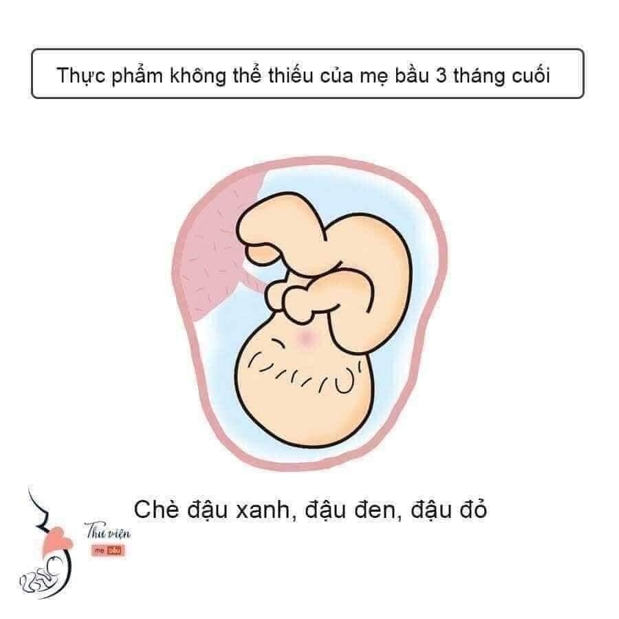 Thực phẩm kg thể thiếu 3 tháng cuối thai kì nha các mom