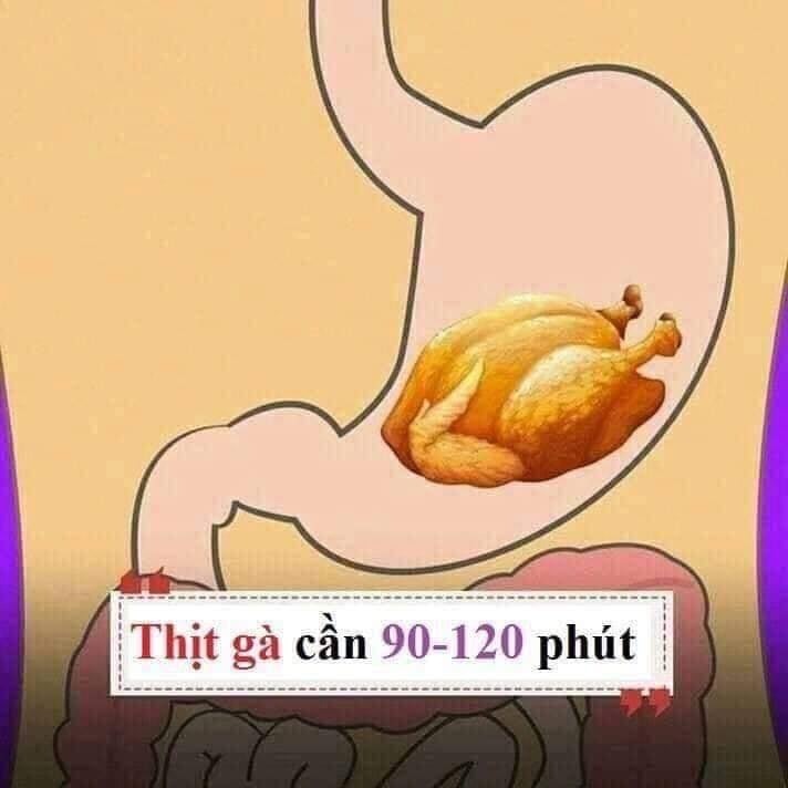 Hiểu được thời gian tiêu hóa của các loại thực phẩm thiết yếu để giúp đạt được cân nặng như ý nha chị em. 😊😊

1 số gợi ý nhỏ:
- Thực phẩm tiêu thụ nhanh bạn nên đưa vào buổi ăn nhẹ.
- Thực phẩm tiêu thụ vừa (tầm 30-90 phút) bạn nên đưa vào buổi ăn sáng và trưa.
- Thực phẩm tiêu thụ lâu (trên 120 phút) không nên đưa vào buổi tối, trước khi ngủ.