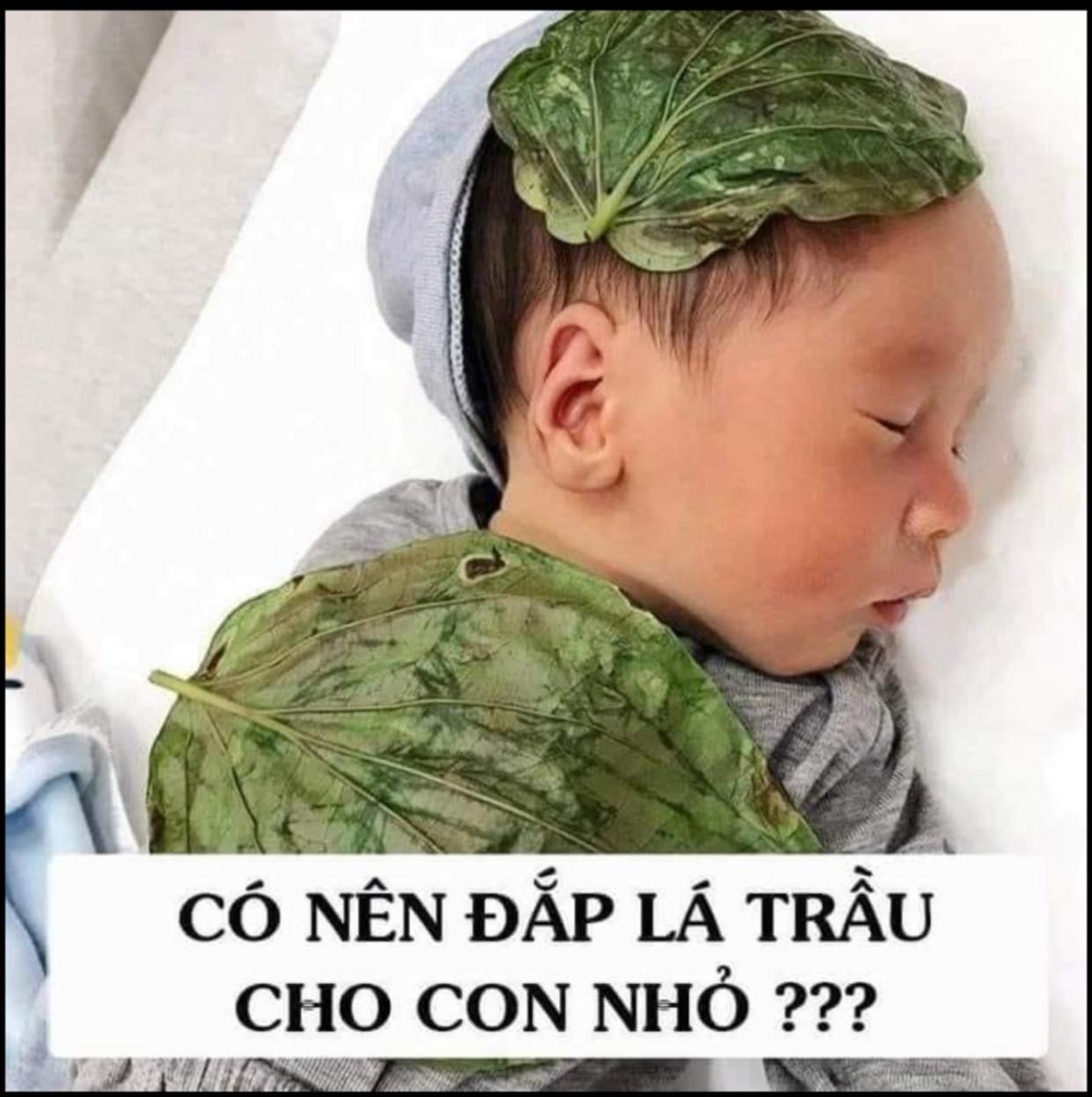 📌 ĐẮP LÁ TRẦU CHO BÉ - NÊN HAY KHÔNG?

Lá trầu không chứa tinh dầu có hoạt tính kháng sinh cực mạnh, ức chế nhiều chủng vi khuẩn như tụ cầu khuẩn, phế cầu khuẩn, liên cầu khuẩn, trực khuẩn coli, lỵ...nên có rất nhiều công dụng với trẻ sơ sinh.

CÁCH ĐẮP LÁ TRẦU CHO TRẺ SƠ SINH

📍Trẻ hay quấy và khóc đêm: áp lá trầu ấm vào rốn rồi ôm bé vào lòng, áp bụng con vào bụng mẹ giúp bé nhanh chóng nín khóc. Hoặc các mẹ có thể đắp trực tiếp hoặc giã nát lá trầu rồi đắp lên mông, đùi, tay và chân của bé cũng được cho là có tác dụng tương tự ( không đắp lên những vết thương hở, bị xước xát).

📍Giúp trẻ hết nấc cụt: hơ lá trầu không cho ấm, sau đó đặt lên thóp bé và giữ nguyên khoảng tầm 10 phút bé sẽ hết nấc.

📍Thuốc giảm đau: trẻ bị phát ban hay sưng viêm nhẹ,... lấy một vài lá trầu không giã nhuyễn rồi đắp lên chỗ trẻ bị đau,thực hiện 2-3 lần/ ngày( Lưu ý không đắp lên vùng da bị trầy xước).

📍Chữa đầy bụng, khó tiêu cho trẻ: hơ ấm lá trầu không sau đó vuốt bụng cho trẻ theo chiều từ trên xuống trong 5 phút.

📍Trị ho cho trẻ : hơ lá trầu ,đắp lên ngực để trẻ giảm ho.

📍Khử trùng và chữa hăm cho trẻ: đun lá trầu lấy nước vệ sinh hàng ngày giúp bé kháng khuẩn và chữa hăm cực kỳ tốt.

📍Tránh mở khoá đầu: bệnh này không phải bé ở vùng nào cũng bị,mình thấy các bé sơ sinh ở Quảng Ninh bị rất nhiều. Hàng ngày hơ nóng là trầu, đặt lên thóp bé tầm 10p (không để quá lâu, lá trầu nguội hấp hơi gây lạnh thóp bé).

📍Vệ sinh đường hô hấp: hơ lá trầu, để cách mũi bé khoảng 2-3 cm hàng ngày giúp diệt khuẩn, thông thoáng đường hô hấp cho bé.

🖍Lưu ý: khi hơ lá trầu , tránh để nhiệt độ quá nóng gây tổn thương da cho bé nhé!😘

Các mẹ có thể tham khảo