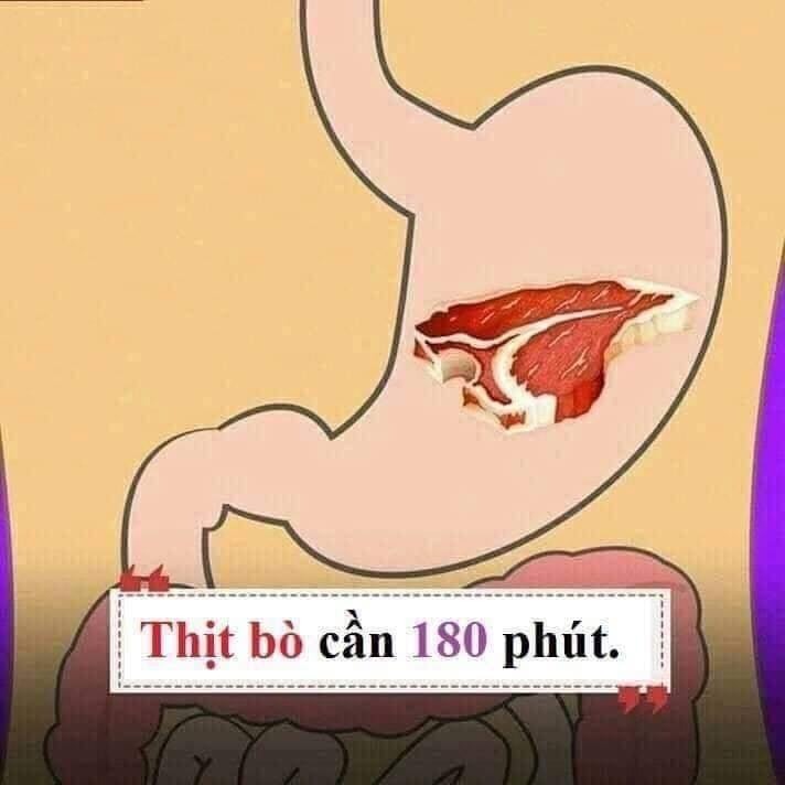 Hiểu được thời gian tiêu hóa của các loại thực phẩm thiết yếu để giúp đạt được cân nặng như ý nha chị em. 😊😊

1 số gợi ý nhỏ:
- Thực phẩm tiêu thụ nhanh bạn nên đưa vào buổi ăn nhẹ.
- Thực phẩm tiêu thụ vừa (tầm 30-90 phút) bạn nên đưa vào buổi ăn sáng và trưa.
- Thực phẩm tiêu thụ lâu (trên 120 phút) không nên đưa vào buổi tối, trước khi ngủ.