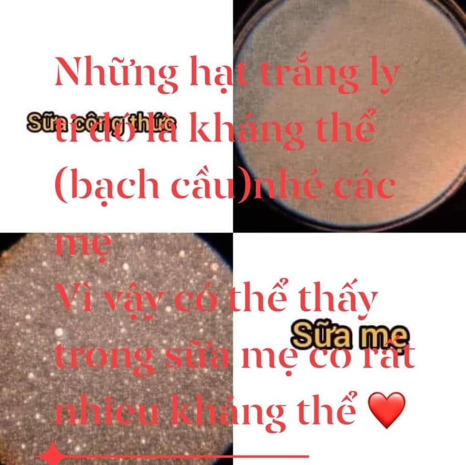 🥰🥰SỮA MẸ CÓ THỰC SỰ TỐT???

Đây là 2 bức ảnh đã cắt ở 2 video so sánh sữa mẹ và sữa công thức của một mẹ sữa người Mỹ khi cô dùng kính hiển vi soi một giọt sữa mẹ và một giọt sữa công thức.

Thật kỳ diệu phải không ạ! Sữa mẹ ngoài chất dinh dưỡng, nước chất béo còn có cả một đội quân tế bào bạch cầu di chuyển linh hoạt và có thể tự thay đổi để phù hợp với thể trạng nhu cầu của bé giúp bé có sức đề kháng tốt nhất còn sữa công thức thì KHÔNG HỀ CÓ!

Mình ủng hộ việc nuôi con sữa mẹ hoàn toàn và mong muốn các mẹ hãy cùng vững tâm nuôi con sữa mẹ. Gạt đi quan niệm:

✔️Sữa công thức đắt $ mới nhiều chất
✔️Sữa mẹ nóng càng lớn càng ít và hết chất
✔️Sữa mẹ nhạt chả có gì
✔️Cho bú lâu hư người lười ăn đi
✔️Đi lớp rồi cai sữa đi ....

Quảng cáo sữa ngoài vẫn luôn phải có câu “sữa mẹ là tốt nhất cho sức khoẻ của trẻ sơ sinh và trẻ nhỏ”, “cho con bú ít nhất 24 tháng” để biết tầm quan trọng của sữa mẹ!

Chúng ta nhìn xa hơn 1 chút nhé, đừng chạy theo cân nặng mà tội cho con.

Chính vì vậy, các mẹ nuôi con sữa mẹ hoàn toàn đừng lung lay mà hãy vững tâm lên nhé!!!