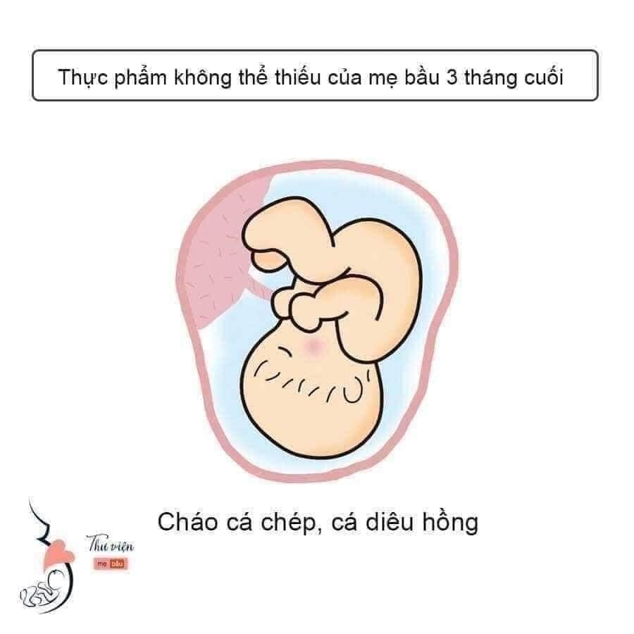 Thực phẩm kg thể thiếu 3 tháng cuối thai kì nha các mom