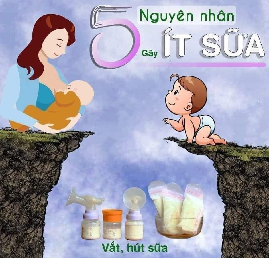 ⚠️5 VIỆC LÀM CHỦ QUAN - MẸ MẤT SỮA HOÀN TOÀN⚠️

🚫 MẸ NGHĨ ÍT SỮA DO CƠ ĐỊA⁉️
Suy nghĩ sai lầm trên thường diễn ra ở rất nhiều mẹ, nhất là các mẹ mới sinh con lần đầu. Khoa học đã chứng minh, ít sữa không phải do cơ địa và mẹ nào cũng có thể gọi được sữa về đủ cho con bú phát triển toàn diện. Vì thế các mẹ cần phải tin tưởng vào bản năng làm mẹ của mình, và luôn tin tưởng rằng mình sẽ đủ sữa cho con. Cái gì có trong đầu sẽ có trong tay, nên nếu mẹ muốn có nhiều sữa thì mẹ phải luôn tin tưởng mình sẽ kích đủ sữa cho con. 💪💪💪

🍩CỨ ĂN NHIỀU LÀ NHIỀU SỮA⁉️
Ăn uống cung cấp dinh dưỡng và năng lượng cho mẹ đồng thời nó cũng là nguyên liệu của quá trình sản xuất sữa. Tuy nhiên nếu tuyến sữa không hoạt động tốt thì cơ thể không thể sử dụng lượng nguyên liệu đó để tạo ra sữa được.

🍼 CHO BÉ TI NGOÀI NGAY KHI MẸ ÍT SỮA
Đa số nhiều mẹ khi sữa về ít sẽ lập tức cho em bé ti sữa ngoài vì sợ con đói và cho rằng sữa ngoài bé ngủ ngon hơn vì trong sữa ngoài có chất làm đầy làm dạ dày bé no lâu chính vì vậy bé sẽ ngủ sâu giấc hơn khoảng 3 đến 4 tiếng, mà khi bé ti sữa mẹ thì thường đúng cữ 1,5 đến 2,5 tiếng bé đã dậy bú mẹ rồi, khi bé ngủ sâu giấc bé sẽ không dậy ti khiến tuyến sữa hiểu nhầm bé không có nhu cầu về sữa và làm sữa ít rồi mất dần. Cơ chế tạo sữa phụ thuộc vào số lần bú hút, bú hút càng nhiều sữa về càng nhiều, nếu em bé đã ti bình và không ti mẹ, hoặc ti mẹ ít thì mẹ bắt buộc phải lấy máy hút bù vào số lần em bé đã bú bình. Mẹ cần kiên trì hút trong một thời gian thì khi đó cơ thể mới hiểu và tiết sữa về đủ.

👶 BÉ BÚ KHÔNG ĐÚNG CÁCH
Bé bú đúng cách, giúp kích thích các đầu dây thần kinh ở quầng thâm, phản hồi về não để kích thích sản xuất hor.mon pro.lactin và oxy.toxin giúp điều hòa sản xuất và tiết sữa. Việc bé bú sai cách khiến cơ chế này không hoạt động khiến mẹ mất dần sữa. Vì thế các mẹ nên tìm hiểu kỹ về khớp ngậm đúng và tư thế cho bé bú đúng nhé.

😰 SUY NGHĨ TIÊU CỰC
Tâm lý của mẹ đóng một vai trò rất quan trọng trong việc sản xuất sữa. Nếu mẹ ít sữa, thiếu sữa thì cũng đừng vội có những suy nghĩ tiêu cực, tự ti nhé. Chính những suy nghĩ này là nguyên nhân gây mất sữa ở mẹ đó.

🚫Đừng để những hiểu biết sai về sữa mẹ khiến cho con bạn không được bú sữa và phát triển đầy đủ nhé. 🚫