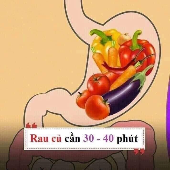 Hiểu được thời gian tiêu hóa của các loại thực phẩm thiết yếu để giúp đạt được cân nặng như ý nha chị em. 😊😊

1 số gợi ý nhỏ:
- Thực phẩm tiêu thụ nhanh bạn nên đưa vào buổi ăn nhẹ.
- Thực phẩm tiêu thụ vừa (tầm 30-90 phút) bạn nên đưa vào buổi ăn sáng và trưa.
- Thực phẩm tiêu thụ lâu (trên 120 phút) không nên đưa vào buổi tối, trước khi ngủ.
