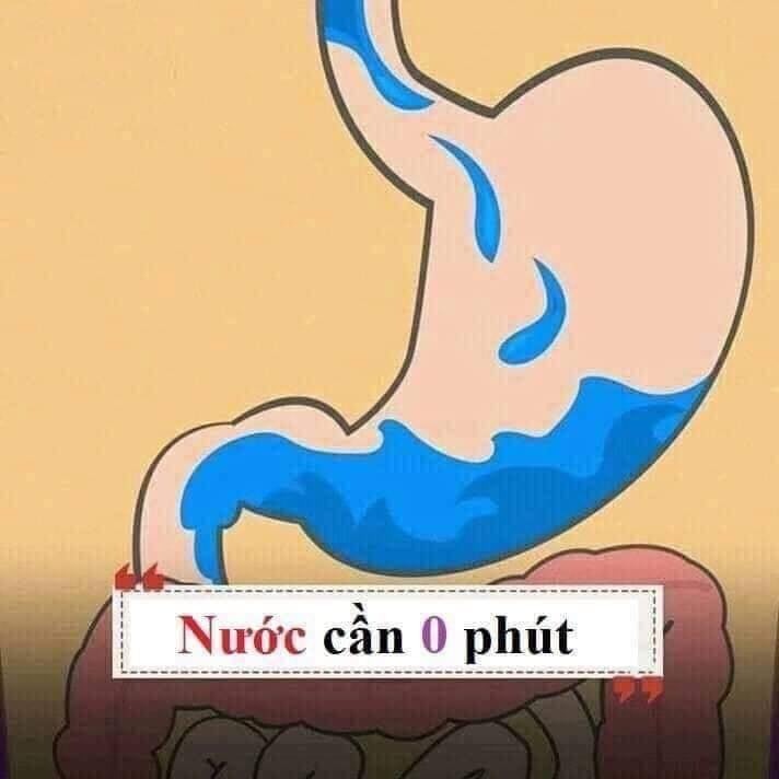 Hiểu được thời gian tiêu hóa của các loại thực phẩm thiết yếu để giúp đạt được cân nặng như ý nha chị em. 😊😊

1 số gợi ý nhỏ:
- Thực phẩm tiêu thụ nhanh bạn nên đưa vào buổi ăn nhẹ.
- Thực phẩm tiêu thụ vừa (tầm 30-90 phút) bạn nên đưa vào buổi ăn sáng và trưa.
- Thực phẩm tiêu thụ lâu (trên 120 phút) không nên đưa vào buổi tối, trước khi ngủ.