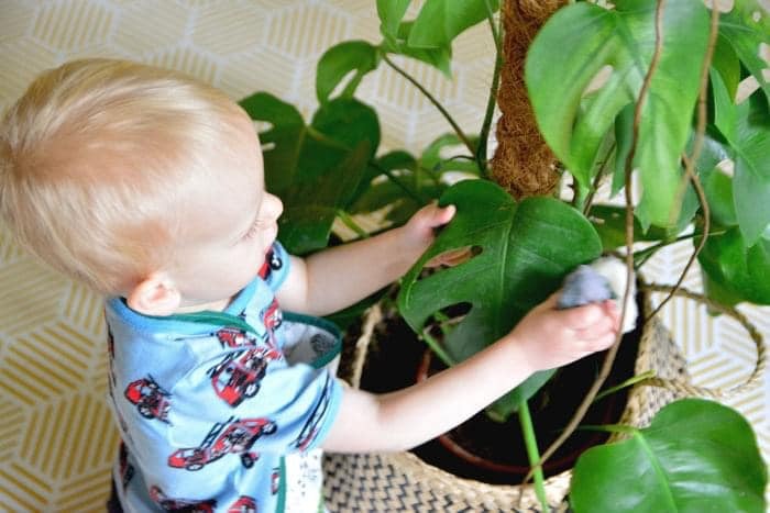 Phương pháp Montessori tại nhà cho bé 24-36 tháng

Bạn đang tìm kiếm một số hoạt động theo phong cách Montessori cho trẻ 24-36 tháng tuổi? 

Mức độ kỹ năng của trẻ 24 tháng thay đổi rất nhiều so với 36 tháng, điều quan trọng là bạn phải quan sát trẻ và trình độ kỹ năng của trẻ chứ không nên so sánh giữa các trẻ với nhau. 

Bạn hãy xem gợi ý dưới đây về những hoạt động Montessori rất phù hợp dùng tại gia đình cho bé 24-36 tháng tuổi nhé:

1. Trẻ có thể bắt đầu học cách sắp xếp và phân loại đồ chơi của mình, bạn hãy chuẩn bị những chiếc giỏ kích cỡ vừa để con tự cất đồ chơi của mình

2. Bạn hãy sắp xếp cho con 1 chiếc tủ quần áo gọn gàng, với khoảng 3 bộ quần áo/mũ/giày để con bắt đầu học cách tự lựa chọn quần áo của mình

3. Song song đó, hãy phát huy cho bé khả năng tự phục vụ bản thân: tự rót nước uống, tự đánh răng. Hãy chú ý thiết kế bình nước ở chỗ thấp vừa tầm với của con, hoặc chuẩn bị chiếc ghế và gương nhỏ đặt ở bồn rửa mặt của người lớn để bé có thể tự đứng rửa tay, rửa mặt, đánh răng

4. Bạn có thể cho con bắt đầu học cách làm các món tráng miệng đơn giản như cắt nhỏ các loại hoa quả bằng dụng cụ cắt chuyên biệt. Đồng thời để con giúp đỡ ba mẹ cùng lau dọn cửa kính hoặc tưới những cái cây ngoài vườn. Vì sao lại để con tham gia nhiều hoạt động như 1 người lớn thực thụ? Vì trước hết trẻ  ở lứa tuổi này cũng rất thích được tham gia vào công việc nhà, con cảm thấy như mình là 1 phần của gia đình, cha mẹ đừng ngăn cản vì sợ con làm sai/làm hỏng, mà hãy tạo điều kiện để con có thể được thỏa mãn nhu cầu của mình nhé

5. Trẻ ở độ tuổi này vẫn rất yêu thích các trò xếp hình và ghép hình. Bạn có thể in các hình con vật với màu sắc rõ nét và đồng thời cũng in hình ảnh đen trắng để con thực hành ghép 1 cặp (xem thêm trong ảnh minh họa để hiểu rõ)

6. Túi vật thể bí mật : là 1 hoạt động cực kì dễ làm ngay tại nhà mà vẫn khiến trẻ thích thú. bạn chỉ cần chuẩn bị 1 chiếc túi có dây rút, bên trong túi bạn đựng bất kì thứ gì mà bạn muốn con khám phá, hãy để bé tự cho tay vào túi để cảm nhận đồ vật đó là gì mà không cần nhìn. Mỗi ngày bạn đều có thể thay đổi dễ dàng các đồ vật trong túi bí mật.