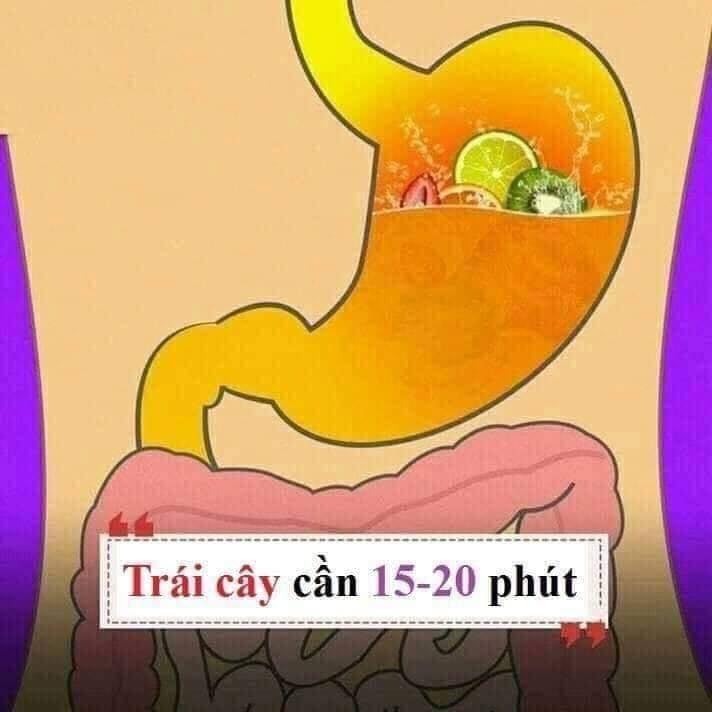 Hiểu được thời gian tiêu hóa của các loại thực phẩm thiết yếu để giúp đạt được cân nặng như ý nha chị em. 😊😊

1 số gợi ý nhỏ:
- Thực phẩm tiêu thụ nhanh bạn nên đưa vào buổi ăn nhẹ.
- Thực phẩm tiêu thụ vừa (tầm 30-90 phút) bạn nên đưa vào buổi ăn sáng và trưa.
- Thực phẩm tiêu thụ lâu (trên 120 phút) không nên đưa vào buổi tối, trước khi ngủ.