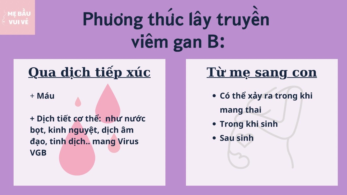 Những điều cần biết về Viêm Gan B trong thai kỳ