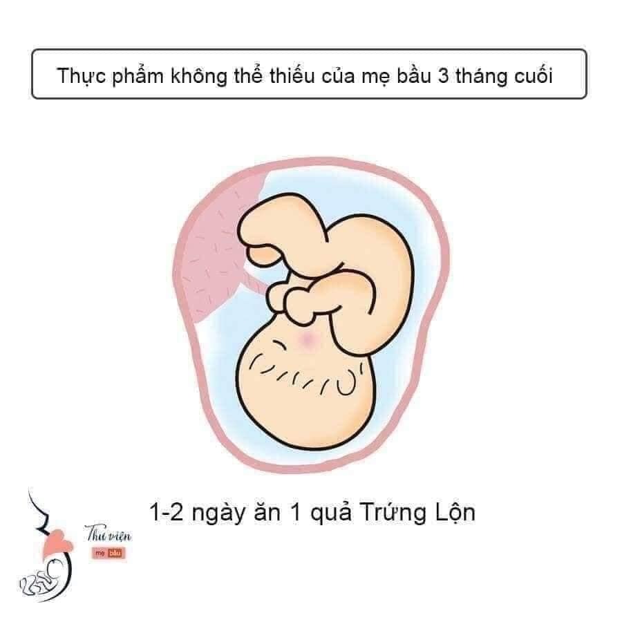 Thực phẩm kg thể thiếu 3 tháng cuối thai kì nha các mom