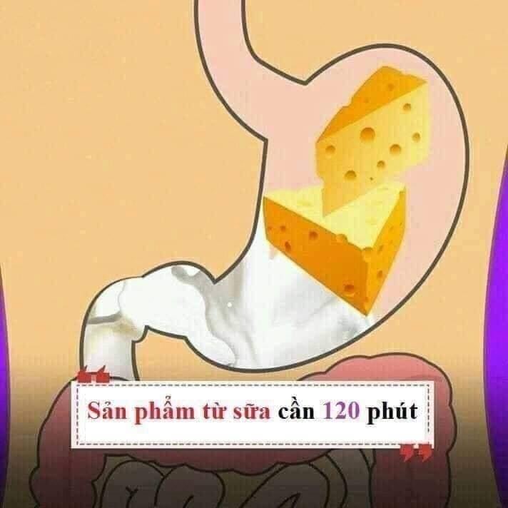 Hiểu được thời gian tiêu hóa của các loại thực phẩm thiết yếu để giúp đạt được cân nặng như ý nha chị em. 😊😊

1 số gợi ý nhỏ:
- Thực phẩm tiêu thụ nhanh bạn nên đưa vào buổi ăn nhẹ.
- Thực phẩm tiêu thụ vừa (tầm 30-90 phút) bạn nên đưa vào buổi ăn sáng và trưa.
- Thực phẩm tiêu thụ lâu (trên 120 phút) không nên đưa vào buổi tối, trước khi ngủ.