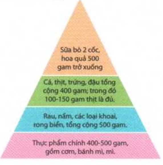 4 điểm ghi nhớ đảm bảo cân bằng dinh dưỡng